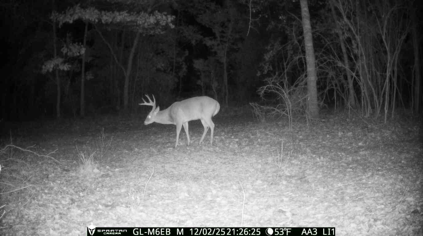 The best of South Georgia living-just outside of Vada, GA