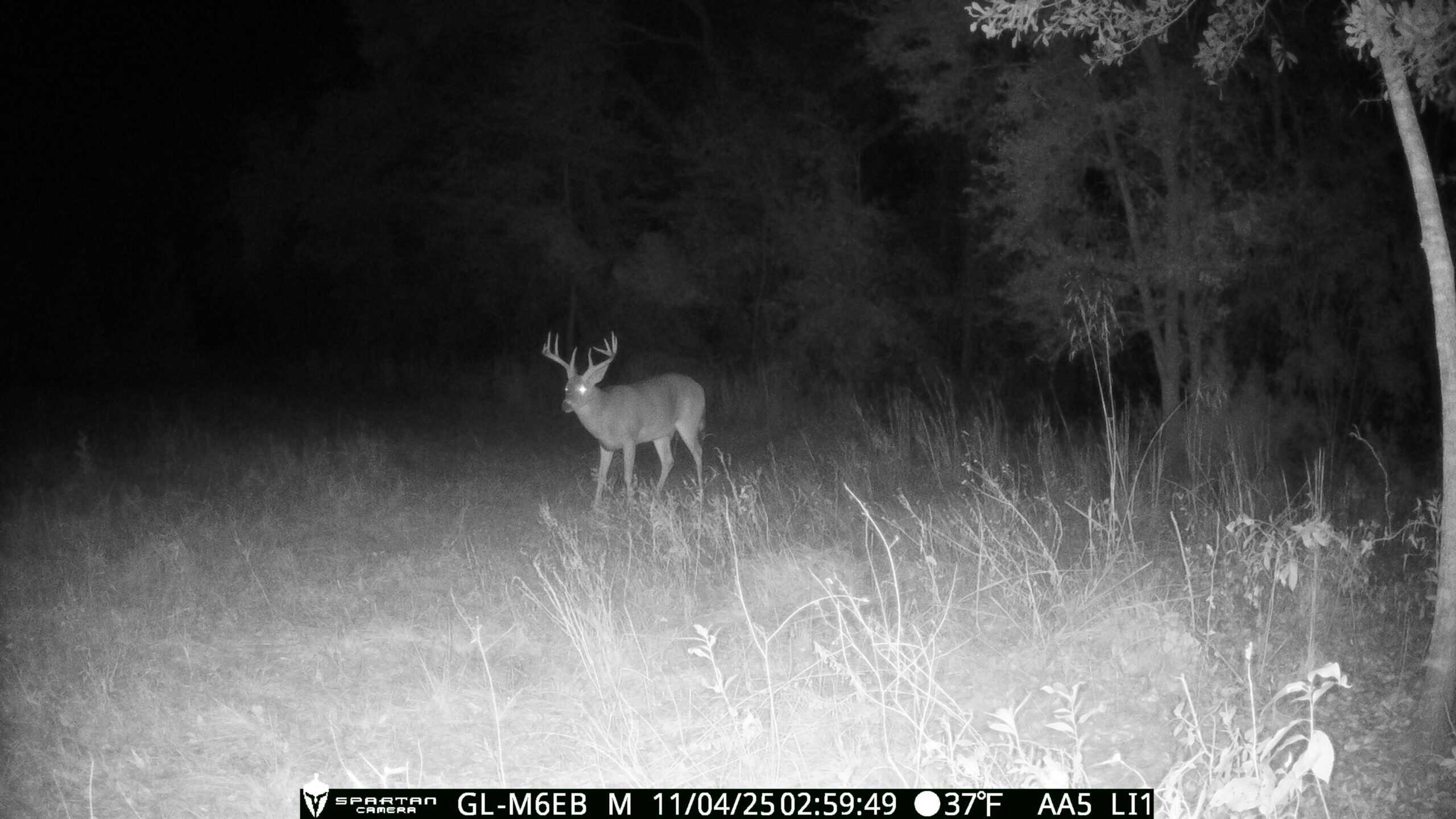 The best of South Georgia living-just outside of Vada, GA