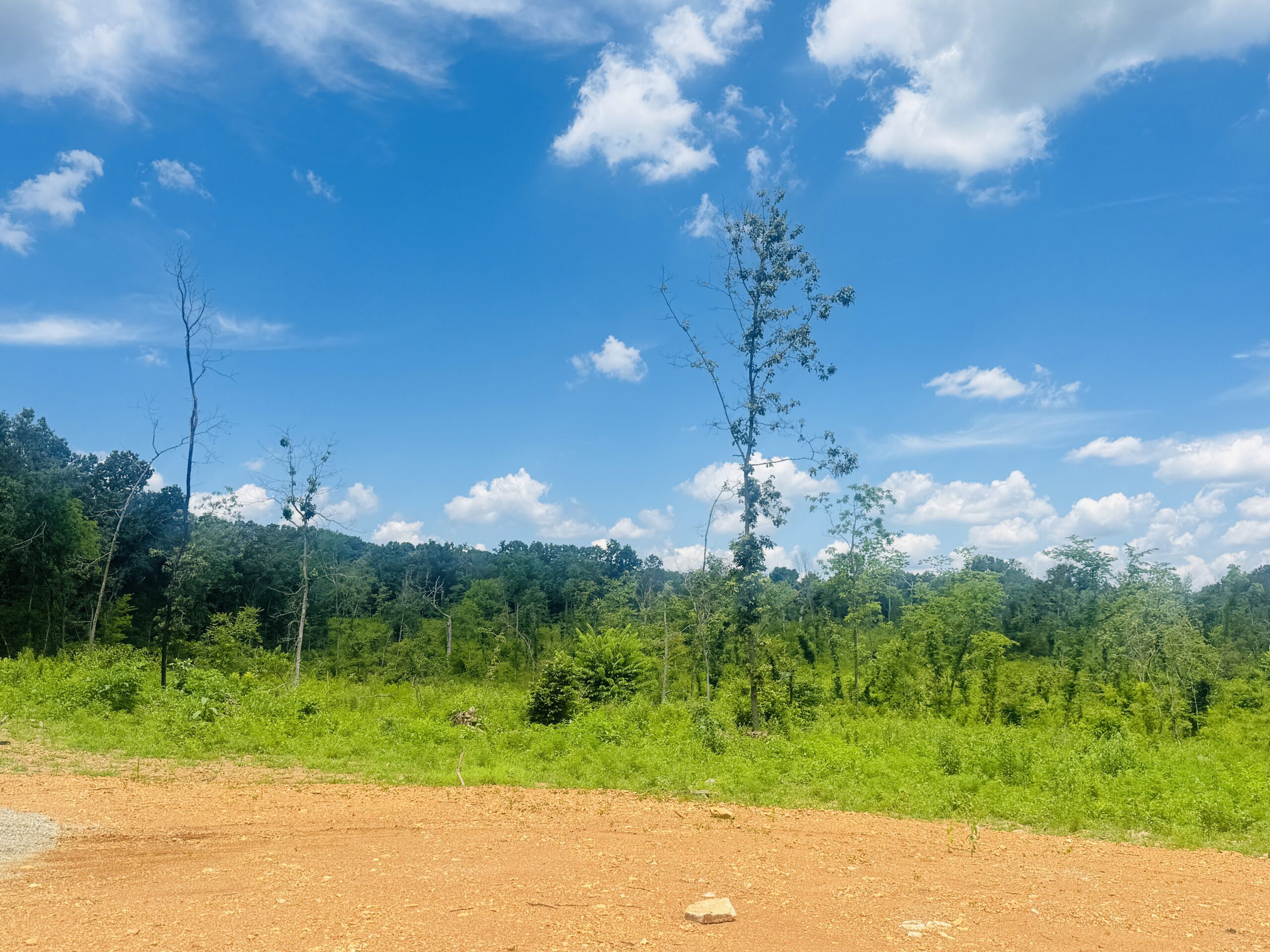 LAND AND SHOP BUILDING FOR SALE IN NORTH CENTRAL ARKANSAS