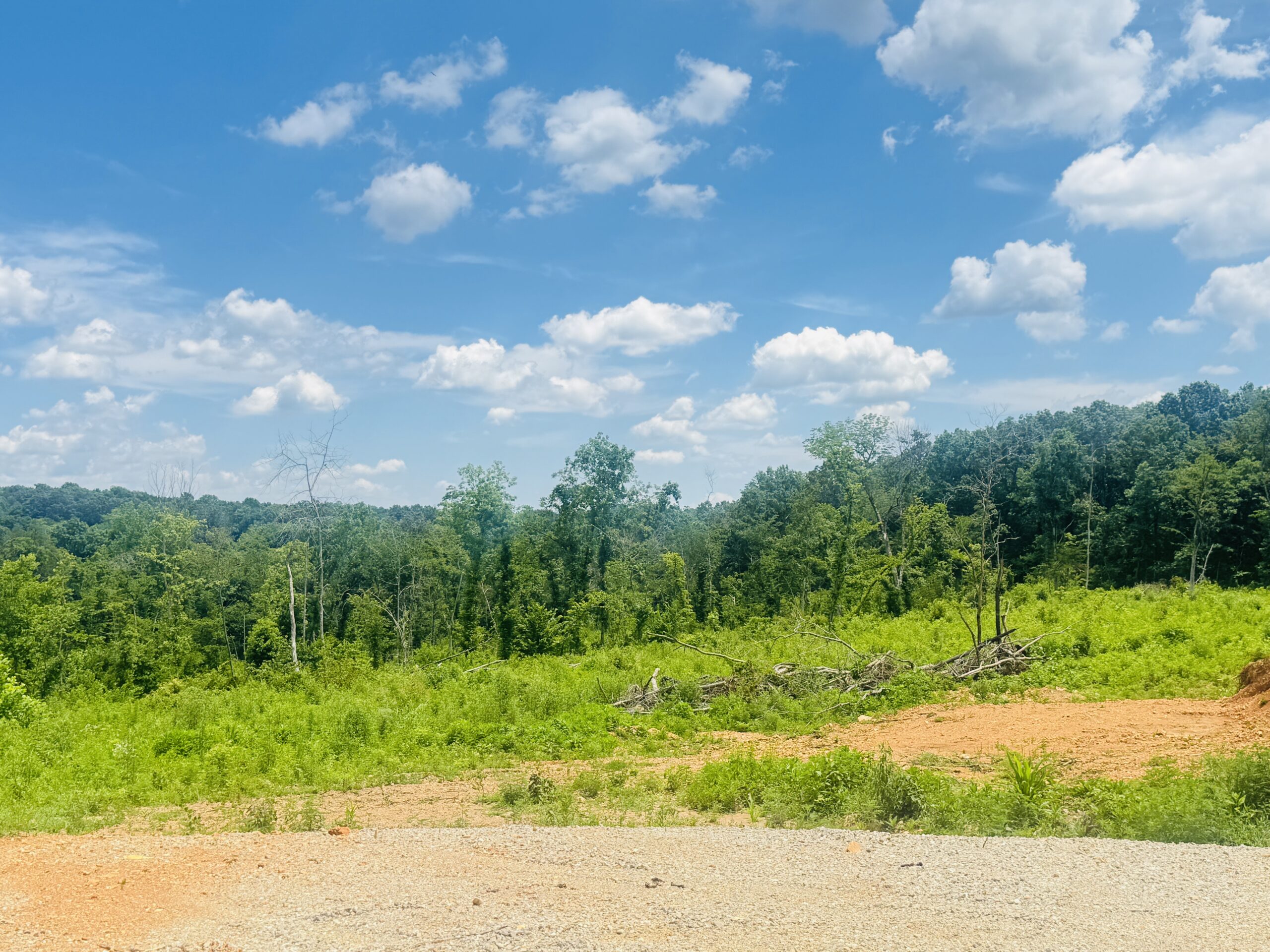 LAND AND SHOP BUILDING FOR SALE IN NORTH CENTRAL ARKANSAS