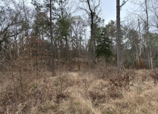 East Texas Hunting/Recreational/Timber Tract For Sale