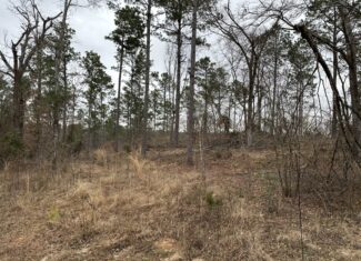 East Texas Hunting/Recreational/Timber Tract For Sale