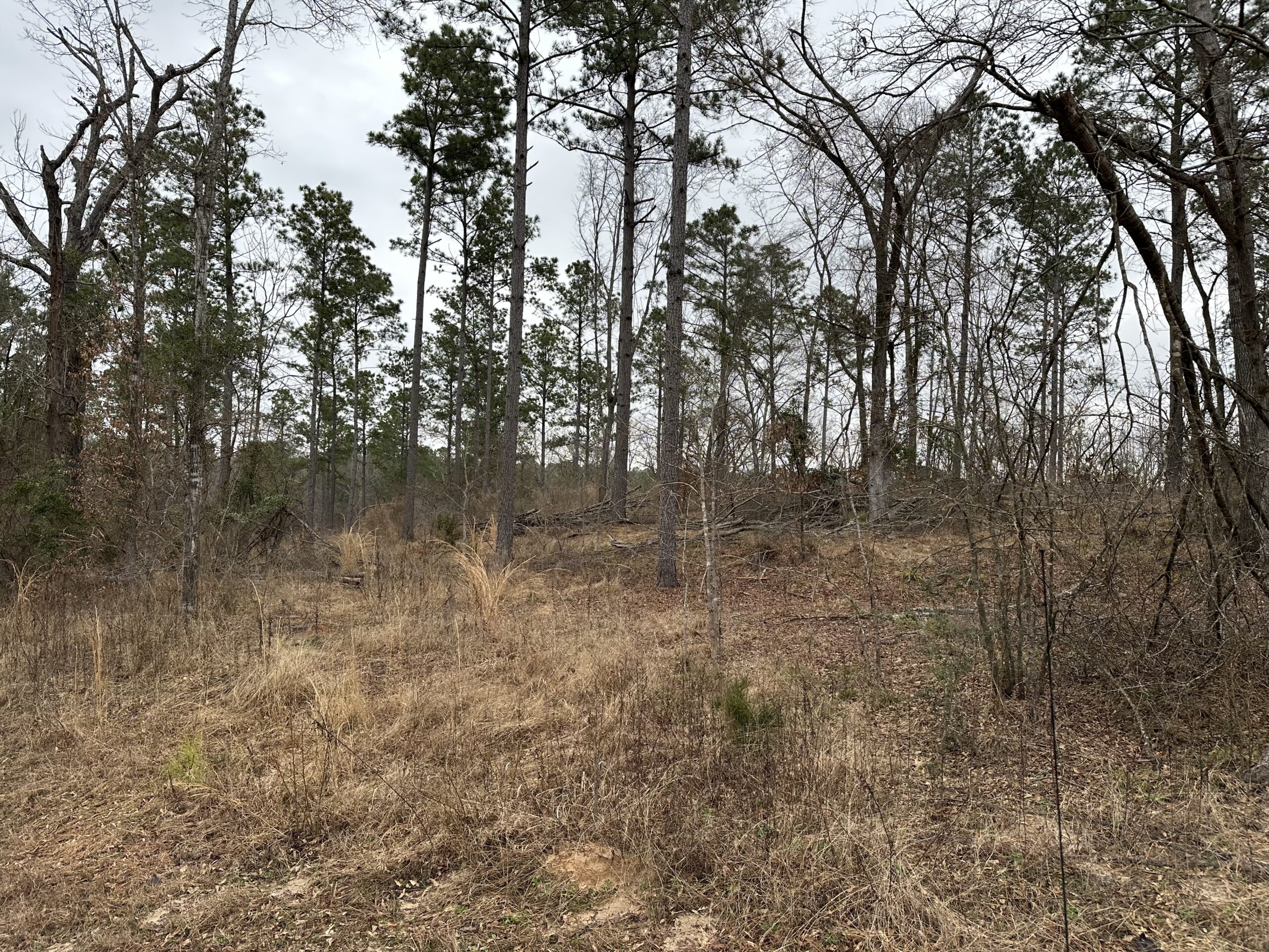 East Texas Hunting/Recreational/Timber Tract For Sale