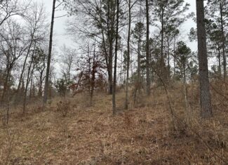 East Texas Hunting/Recreational/Timber Tract For Sale