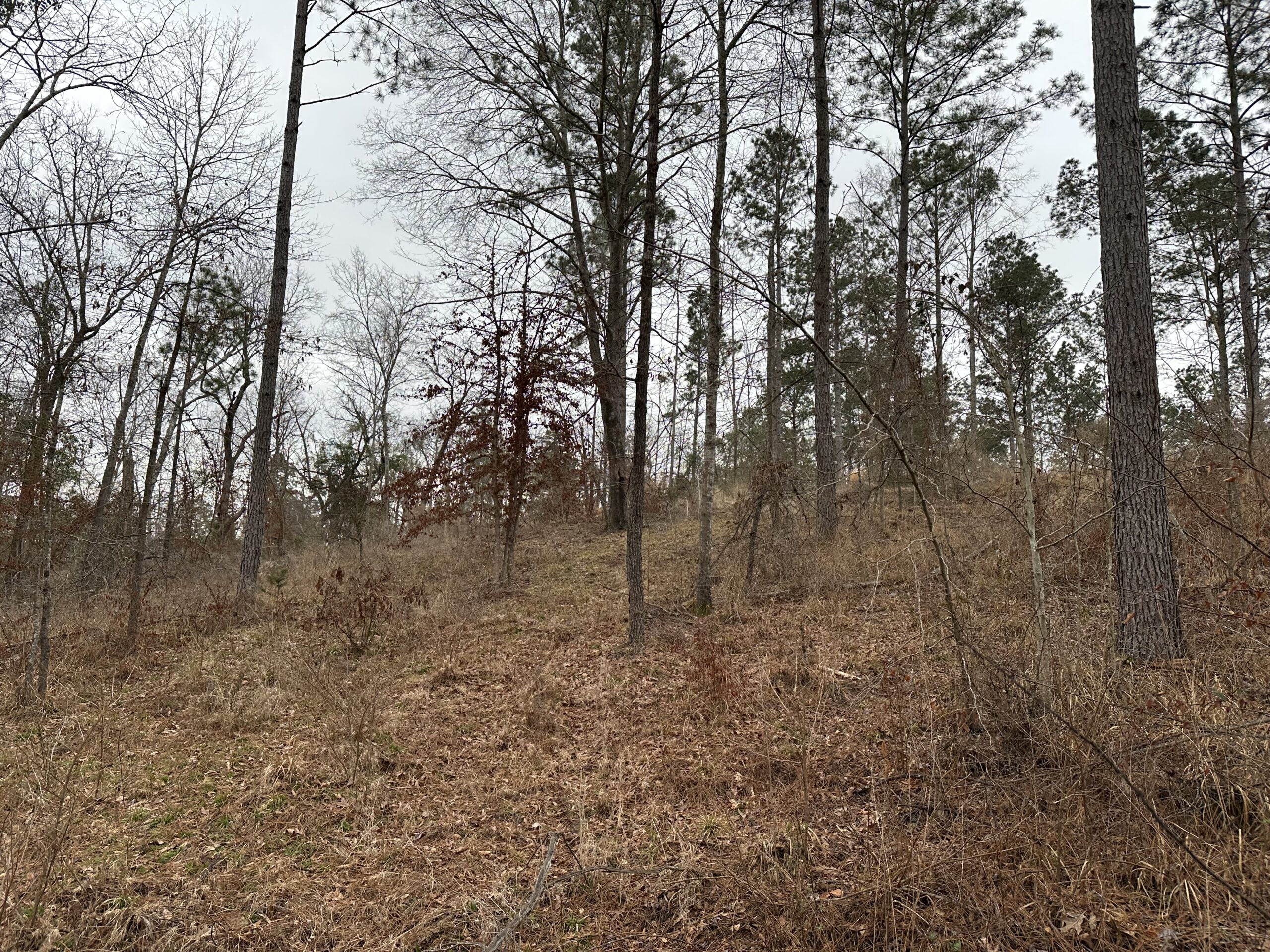 East Texas Hunting/Recreational/Timber Tract For Sale