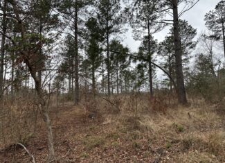 East Texas Hunting/Recreational/Timber Tract For Sale