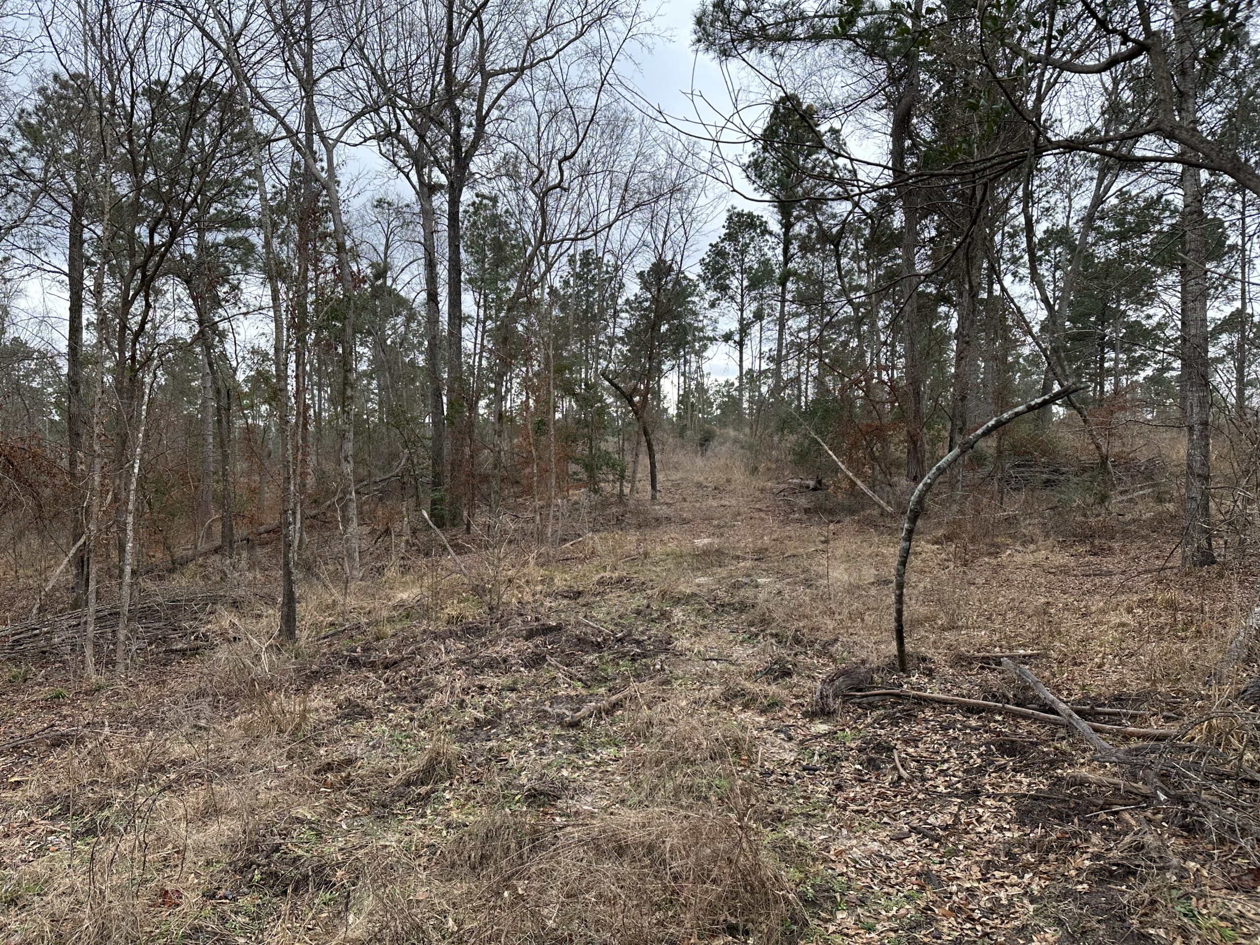 East Texas Hunting/Recreational/Timber Tract For Sale