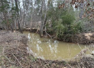 East Texas Hunting/Recreational/Timber Tract For Sale