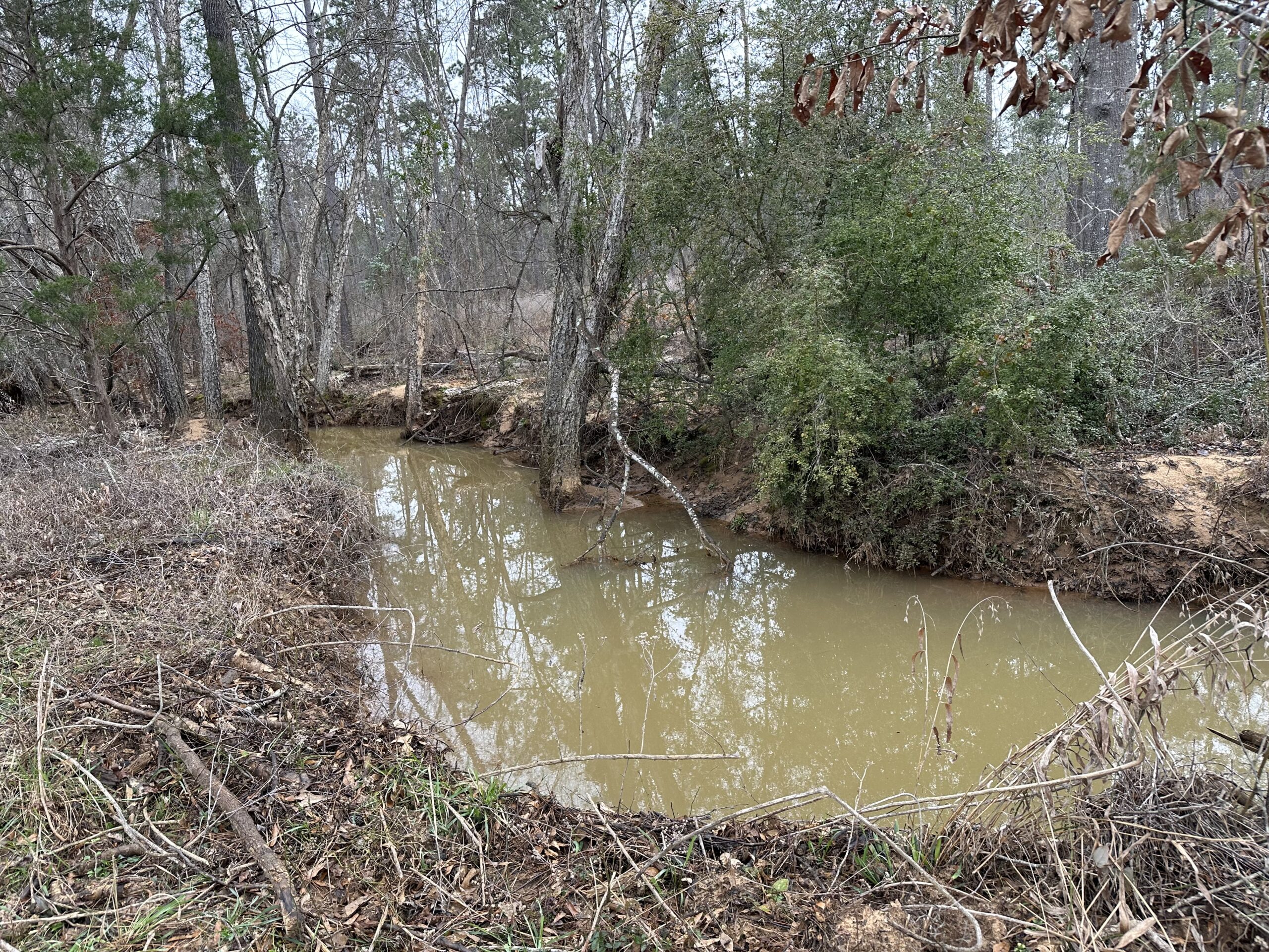 East Texas Hunting/Recreational/Timber Tract For Sale