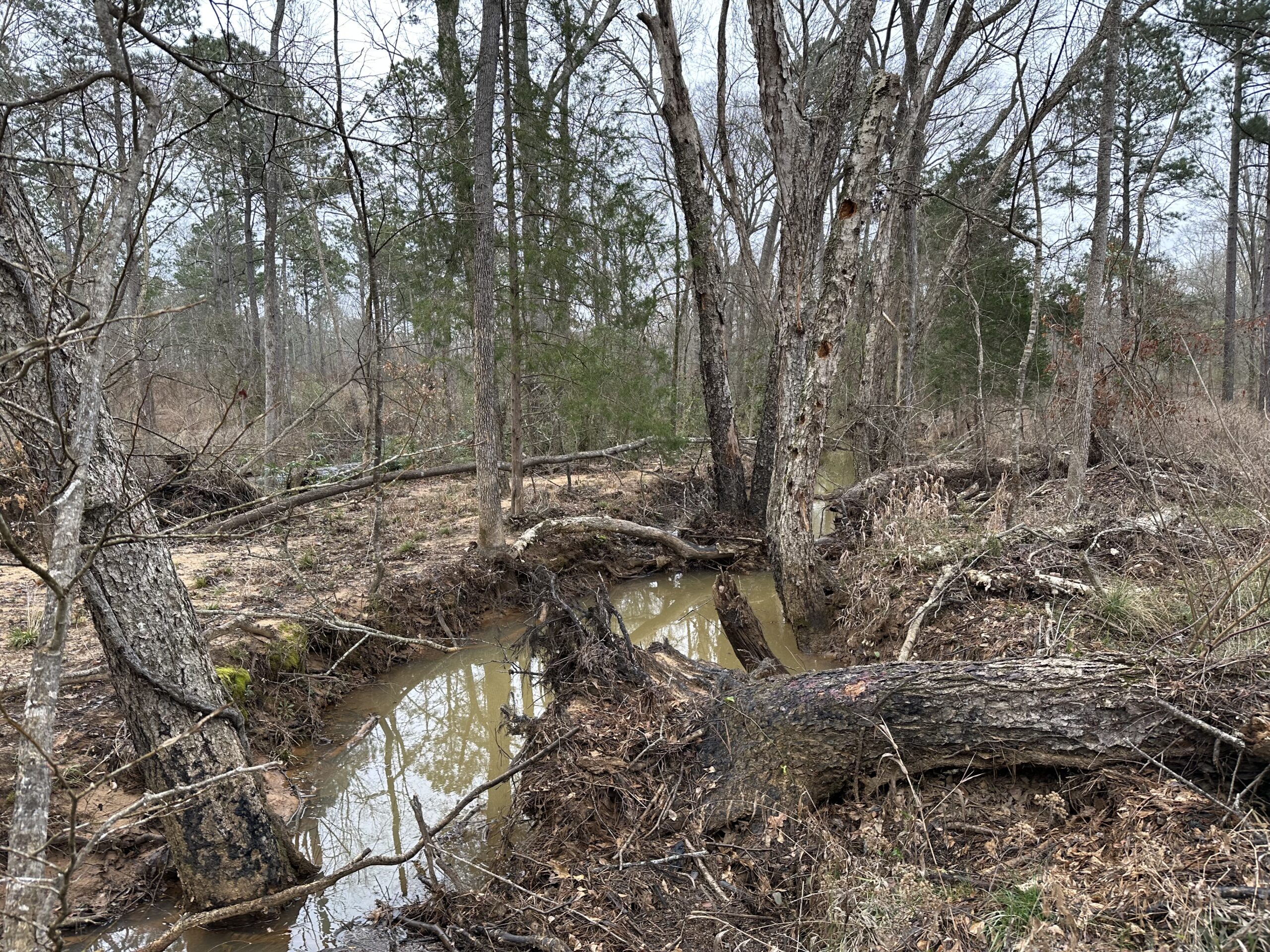 East Texas Hunting/Recreational/Timber Tract For Sale