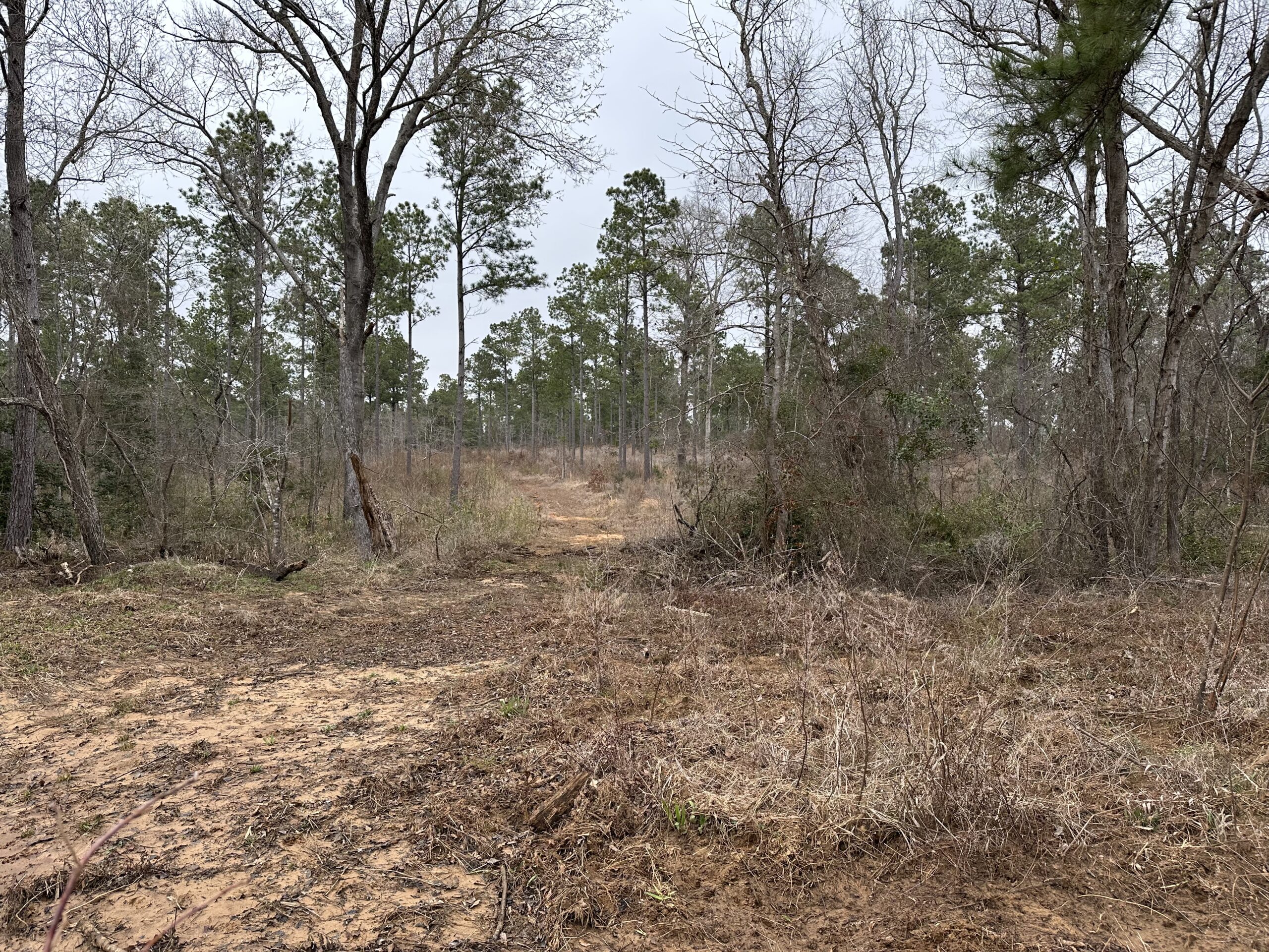 East Texas Hunting/Recreational/Timber Tract For Sale