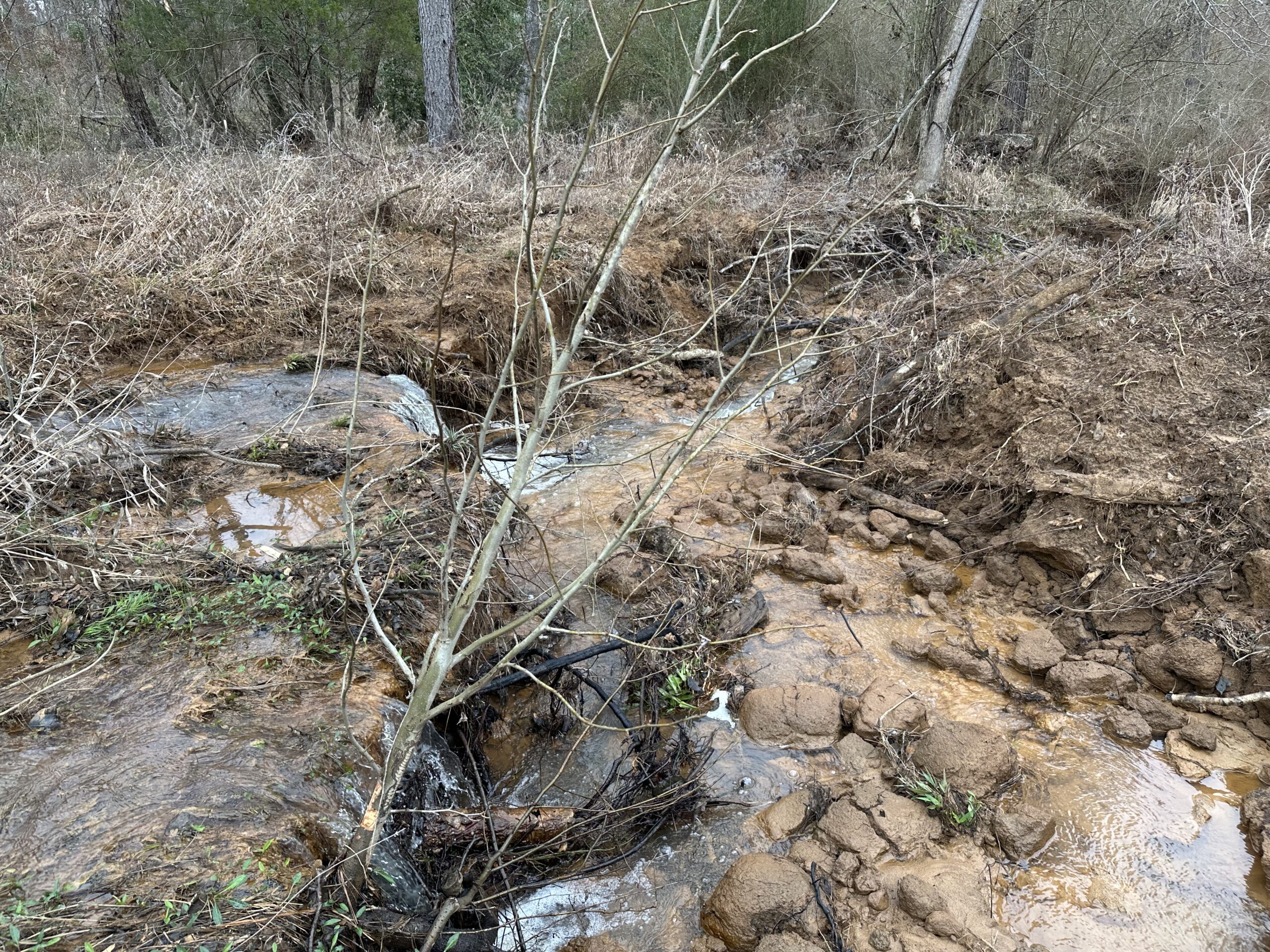 East Texas Hunting/Recreational/Timber Tract For Sale