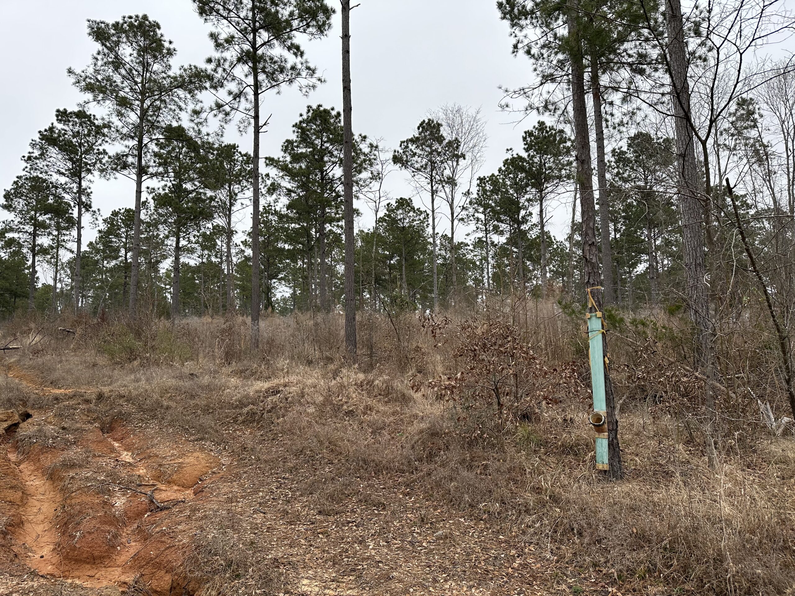 East Texas Hunting/Recreational/Timber Tract For Sale
