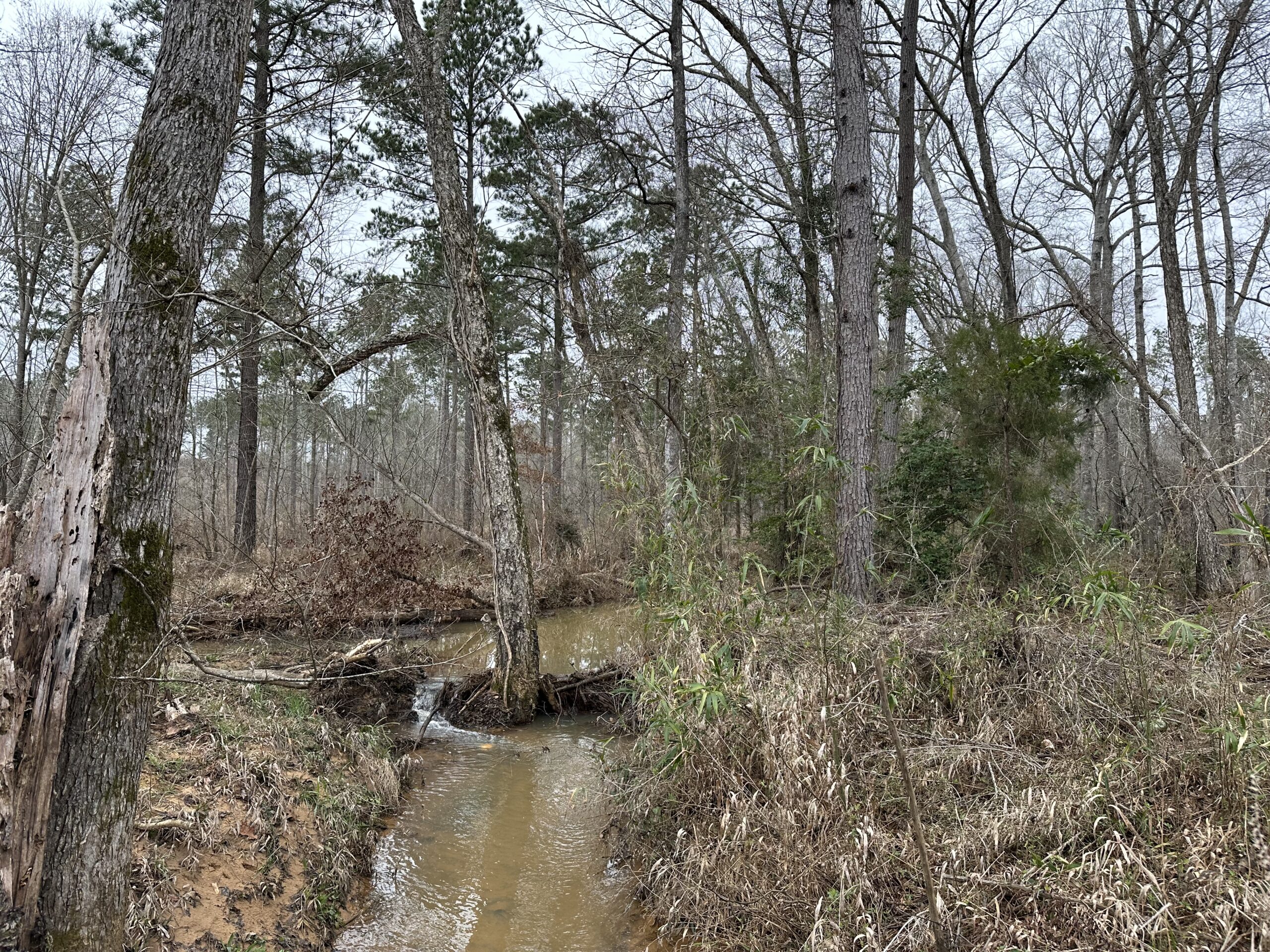 East Texas Hunting/Recreational/Timber Tract For Sale