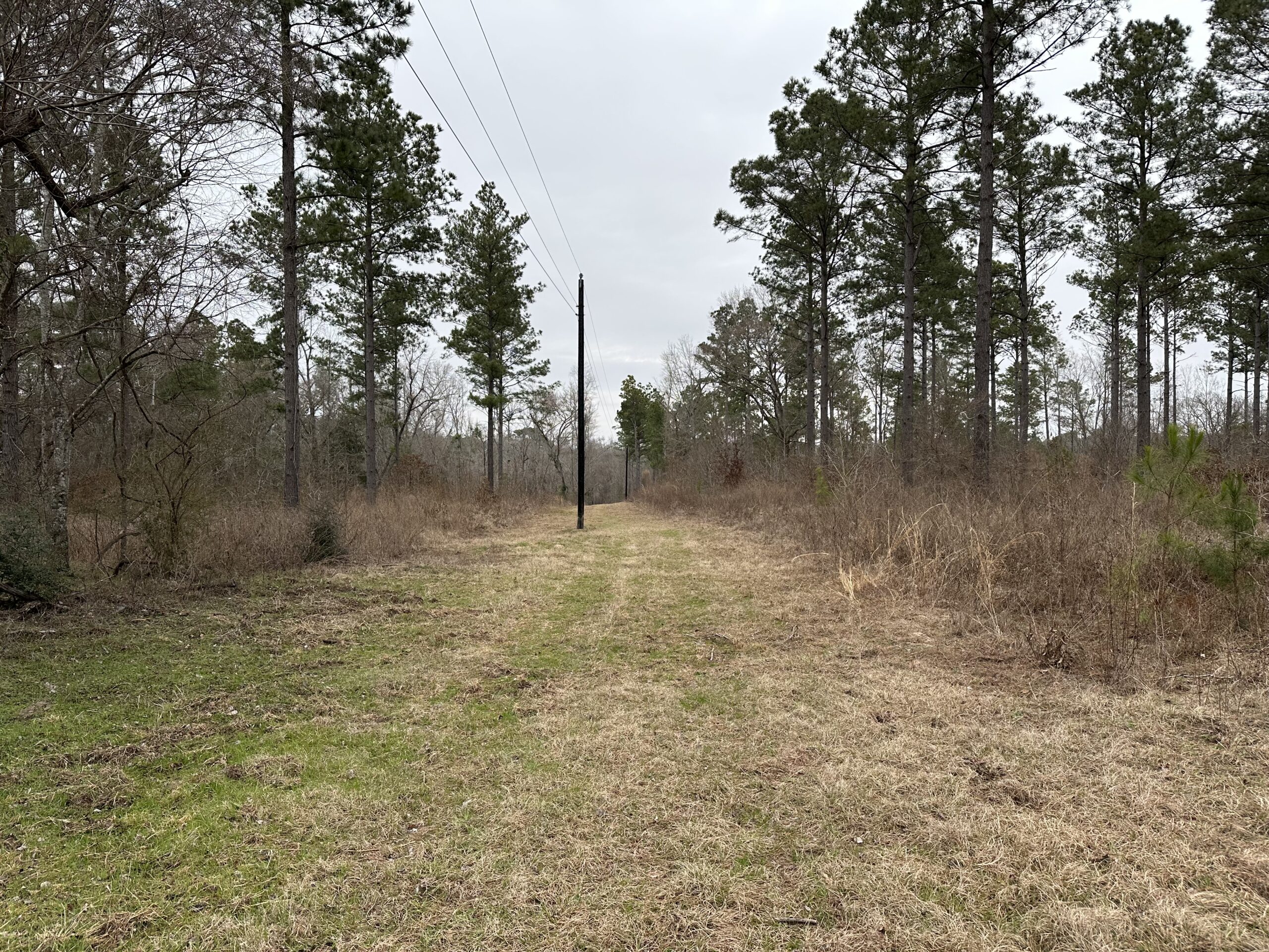 East Texas Hunting/Recreational/Timber Tract For Sale