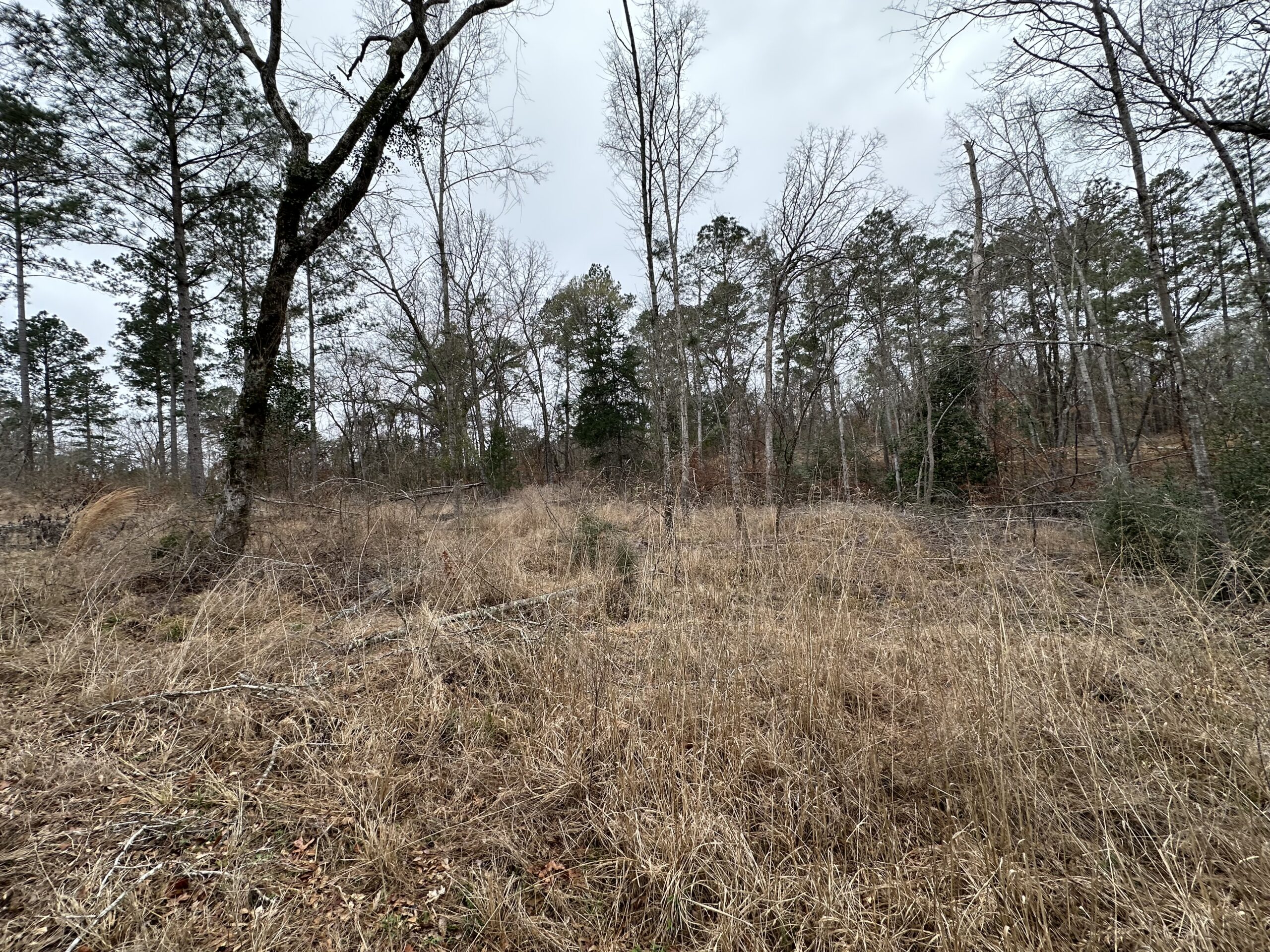 East Texas Hunting/Recreational/Timber Tract For Sale