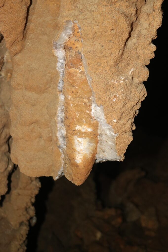 Large Cave and 90 Acres For Sale