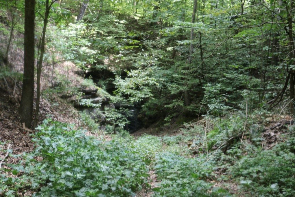 Large Cave and 90 Acres For Sale