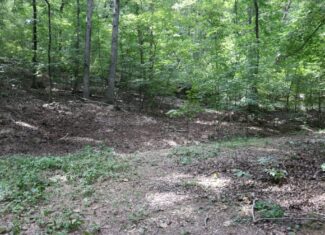 Large Cave and 90 Acres For Sale