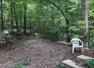 Large Cave and 90 Acres For Sale