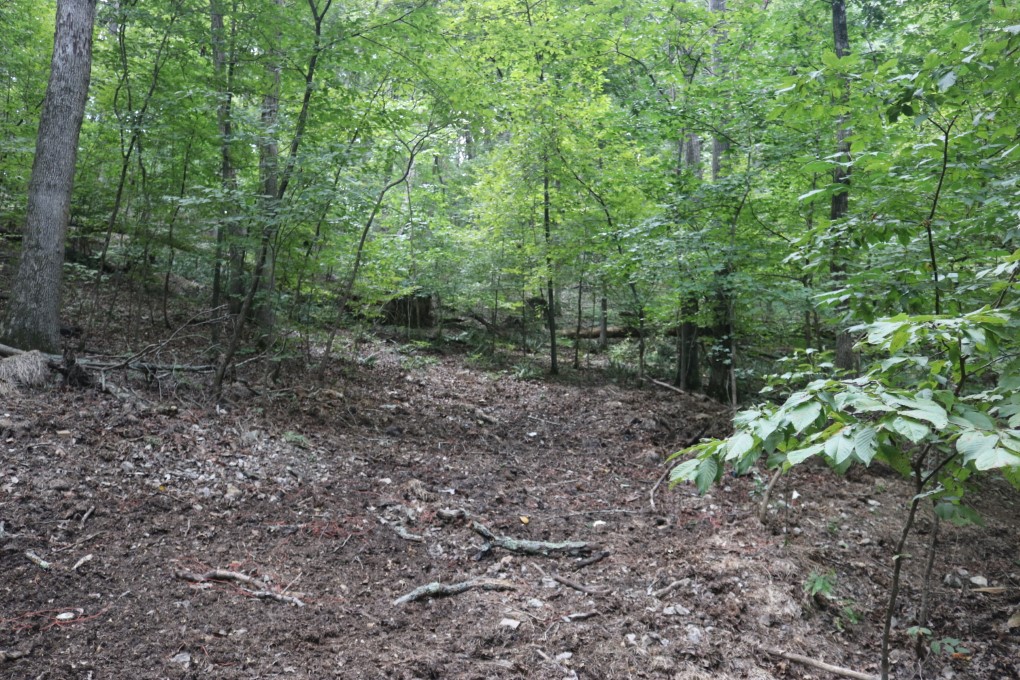 Large Cave and 90 Acres For Sale