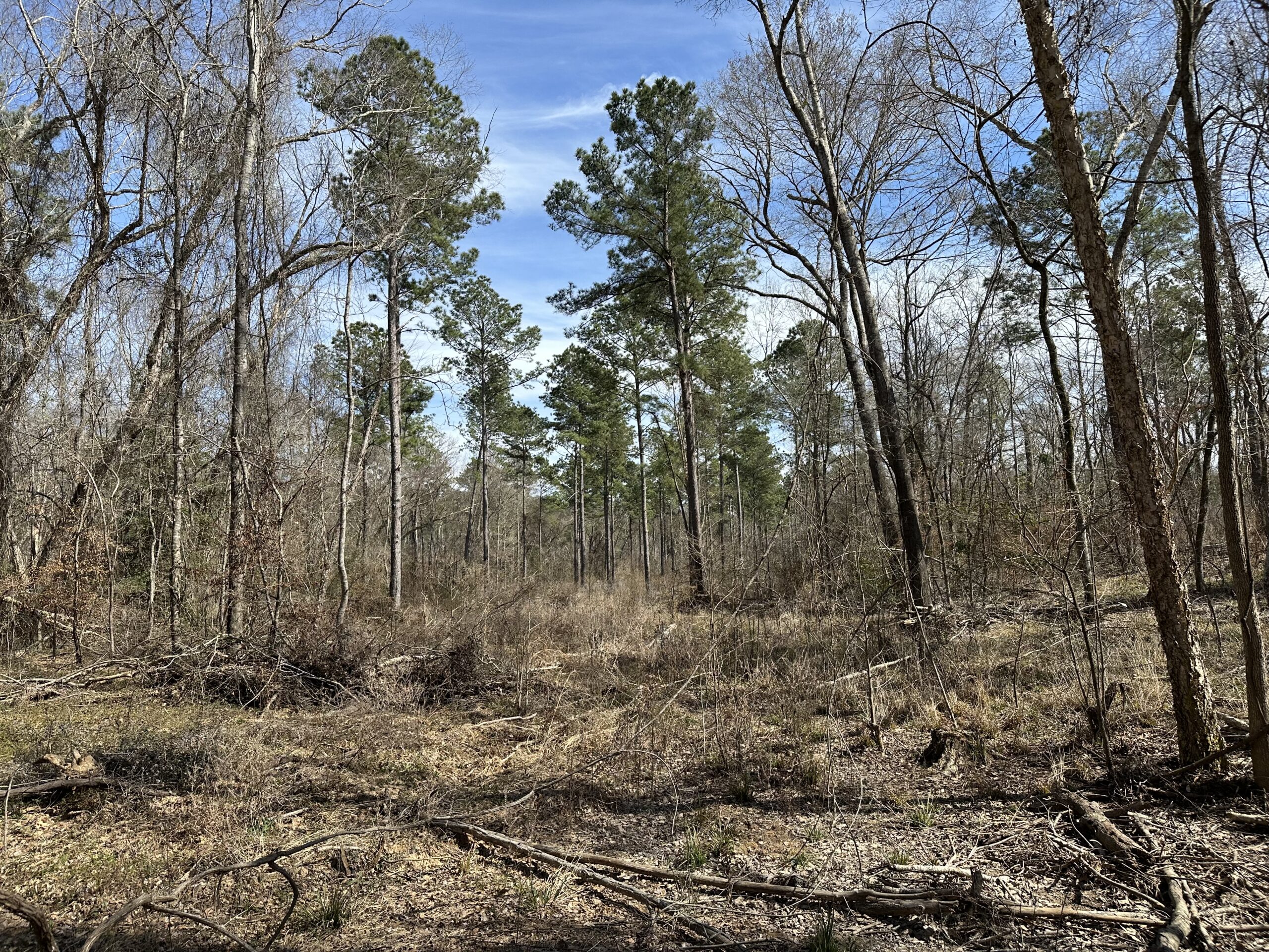 East Texas Hunting/Recreational/Timber Tract For Sale