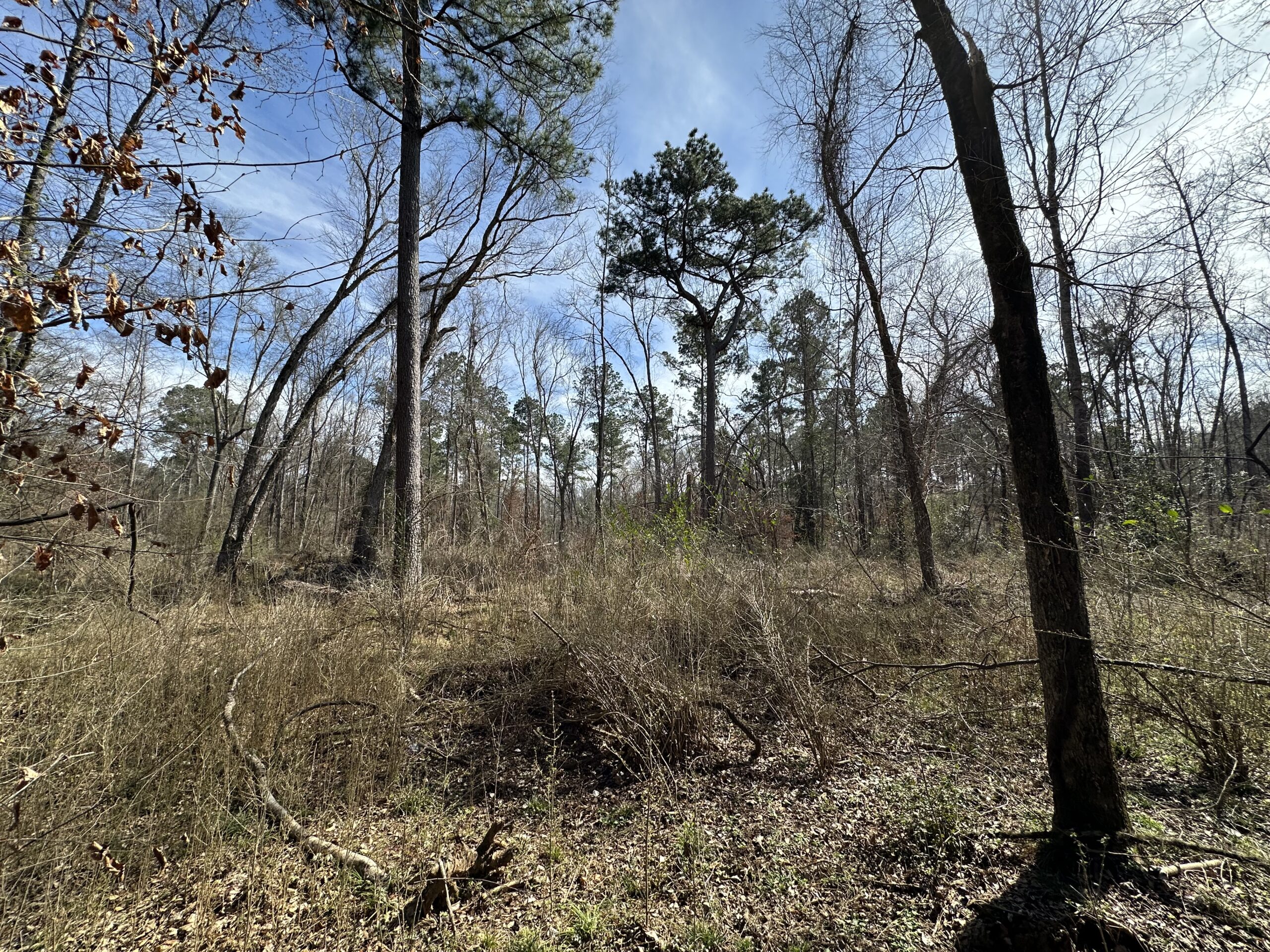 East Texas Hunting/Recreational/Timber Tract For Sale