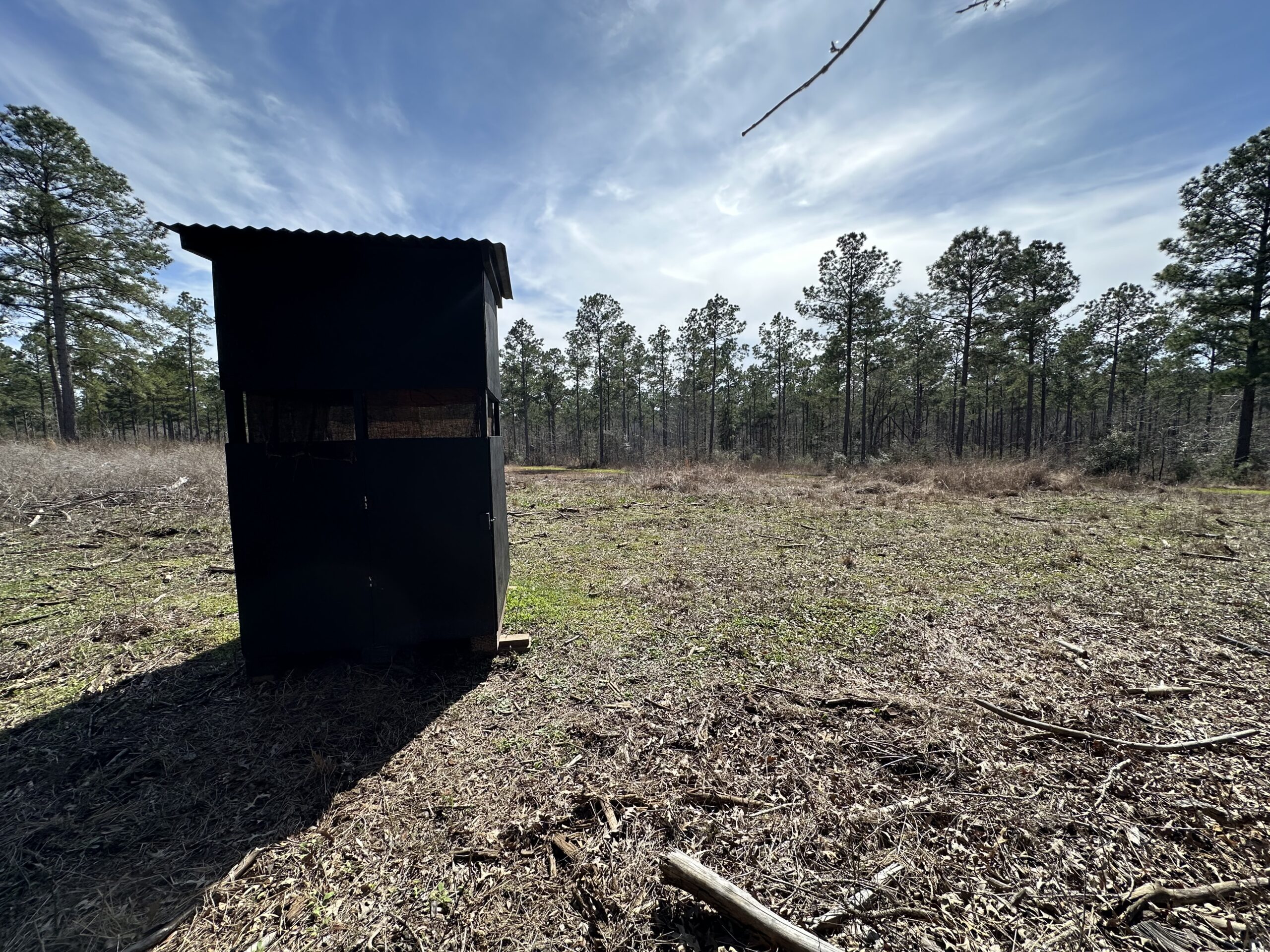 East Texas Hunting/Recreational/Timber Tract For Sale