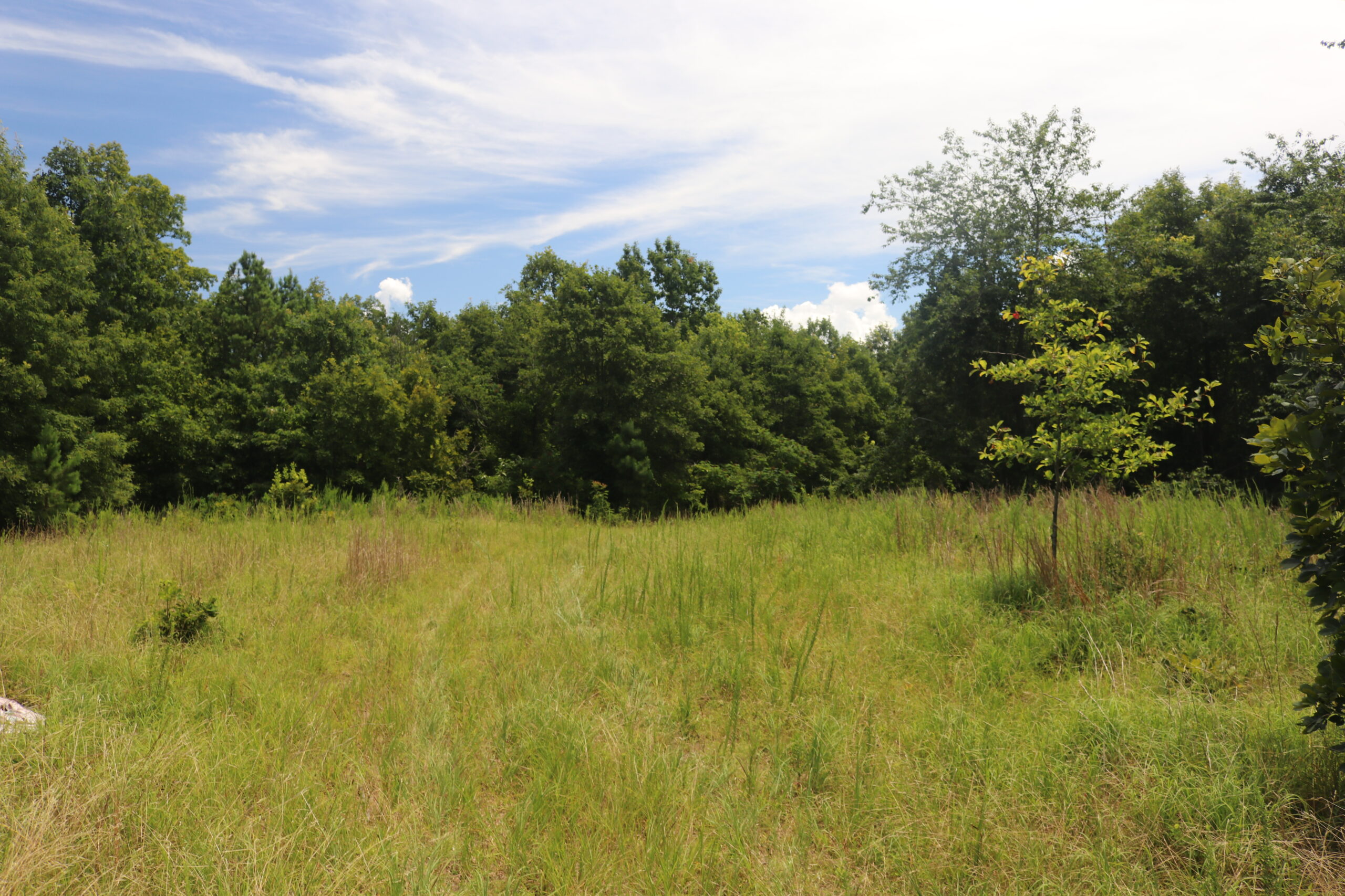 134 Acres For Sale in the Ozark Mountains