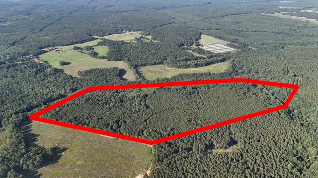 64 acres in Olgethorpe county with an off grid cabin – Ready for deer season!