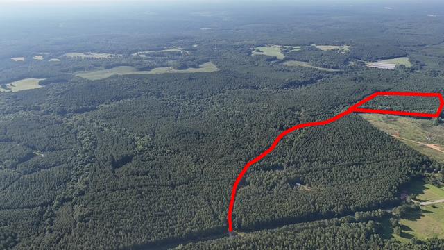 64 acres in Olgethorpe county with an off grid cabin – Ready for deer season!