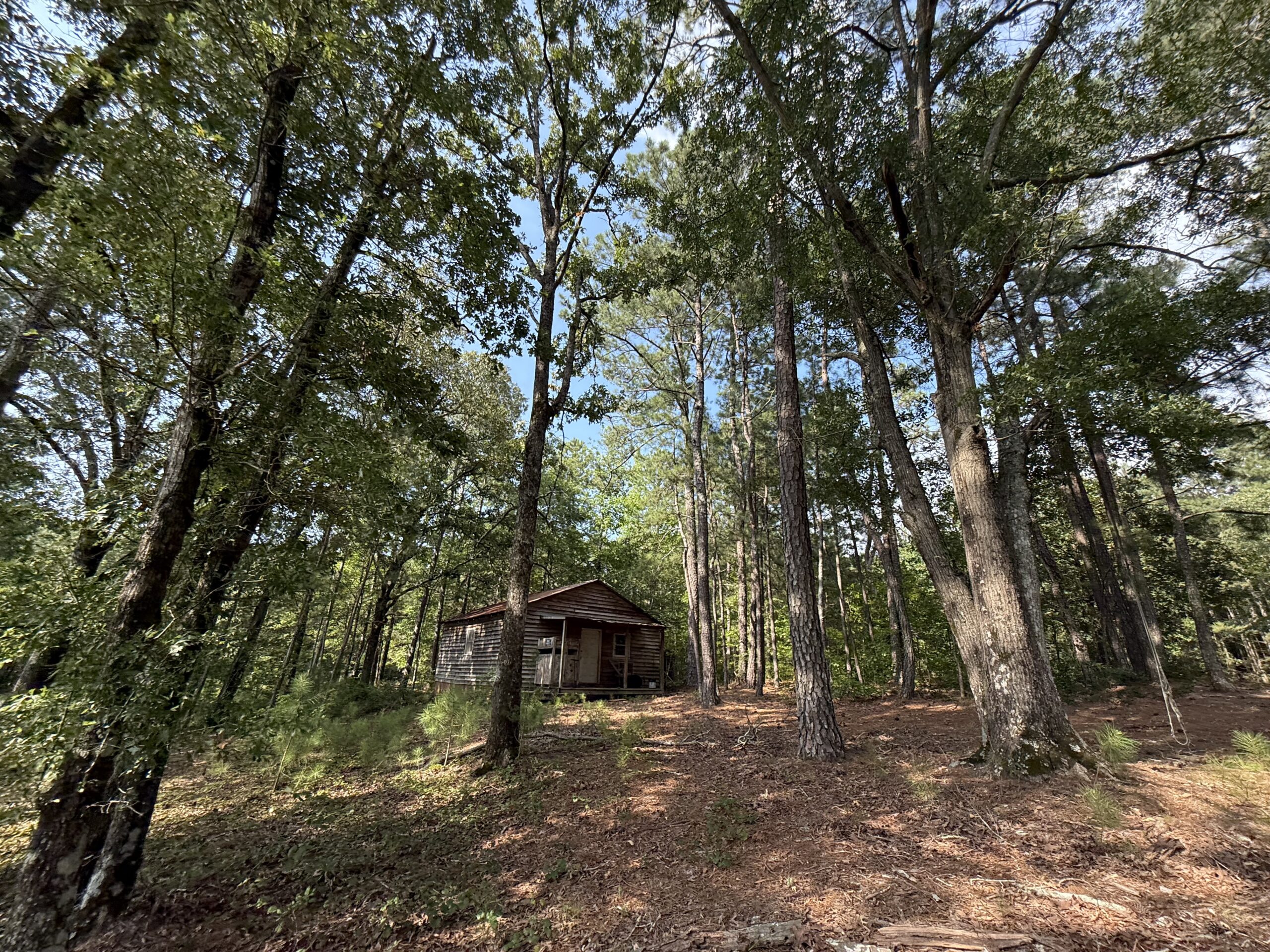 64 acres in Olgethorpe county with an off grid cabin – Ready for deer season!