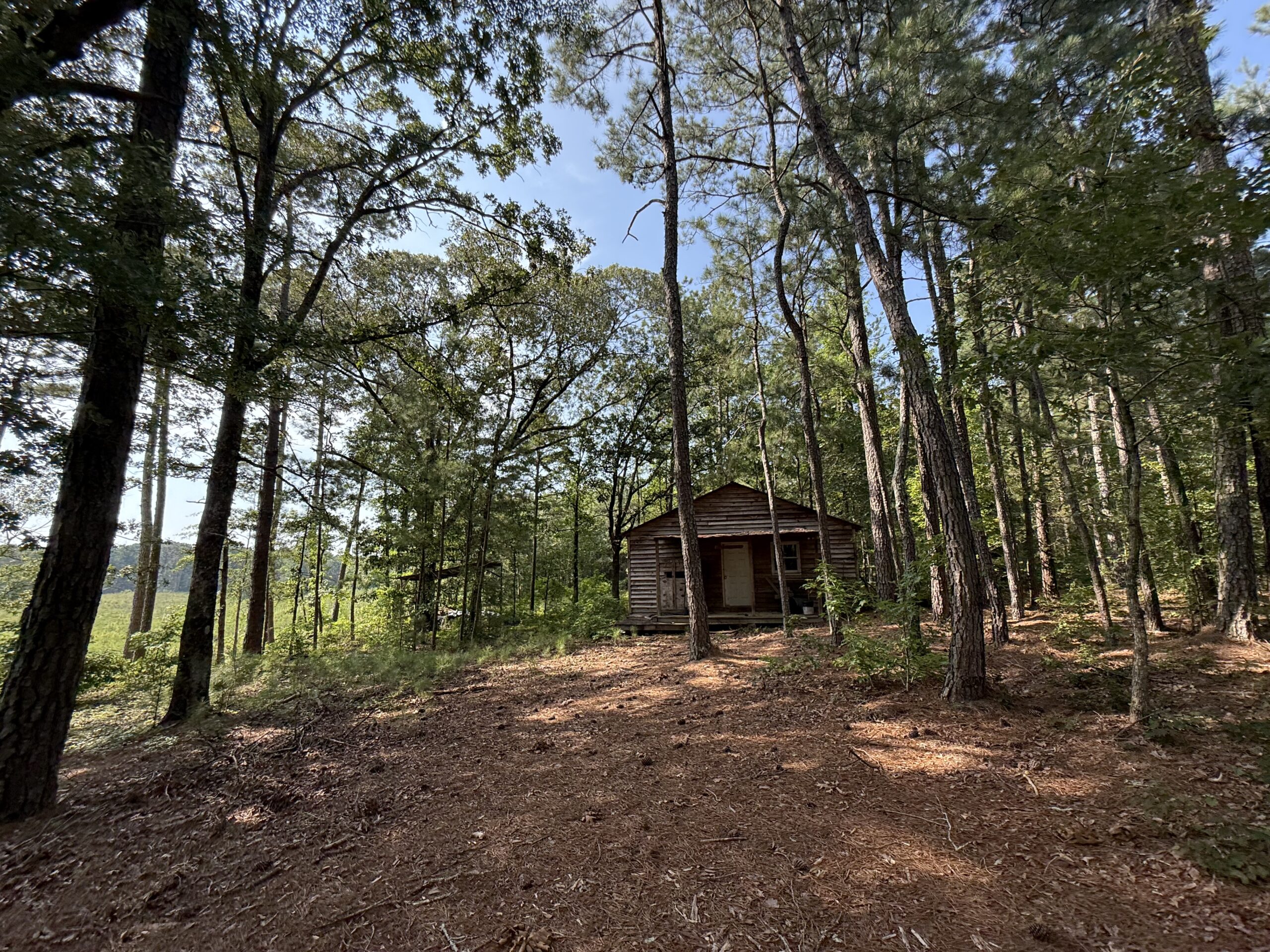 64 acres in Olgethorpe county with an off grid cabin – Ready for deer season!