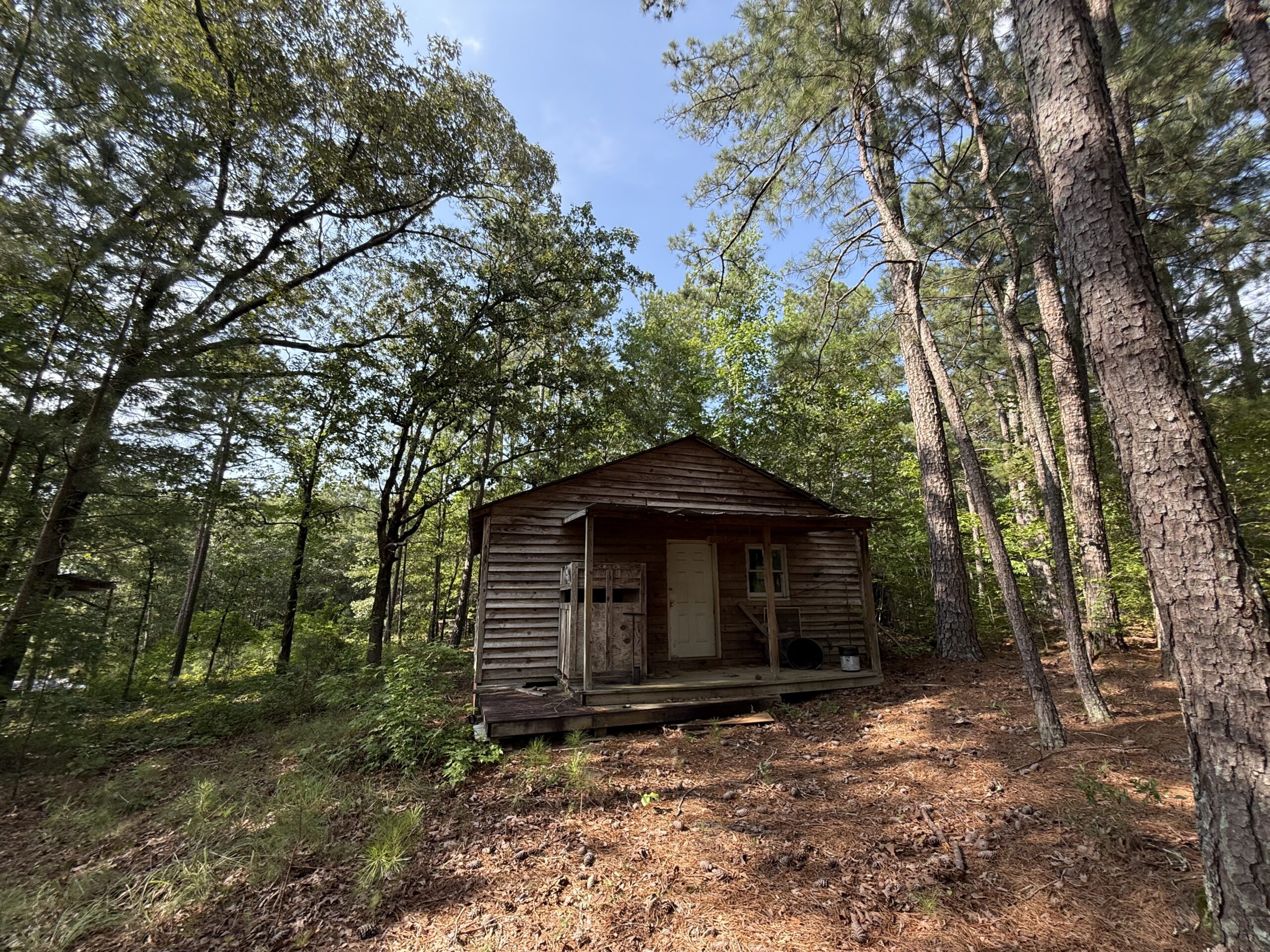 64 acres in Olgethorpe county with an off grid cabin – Ready for deer season!
