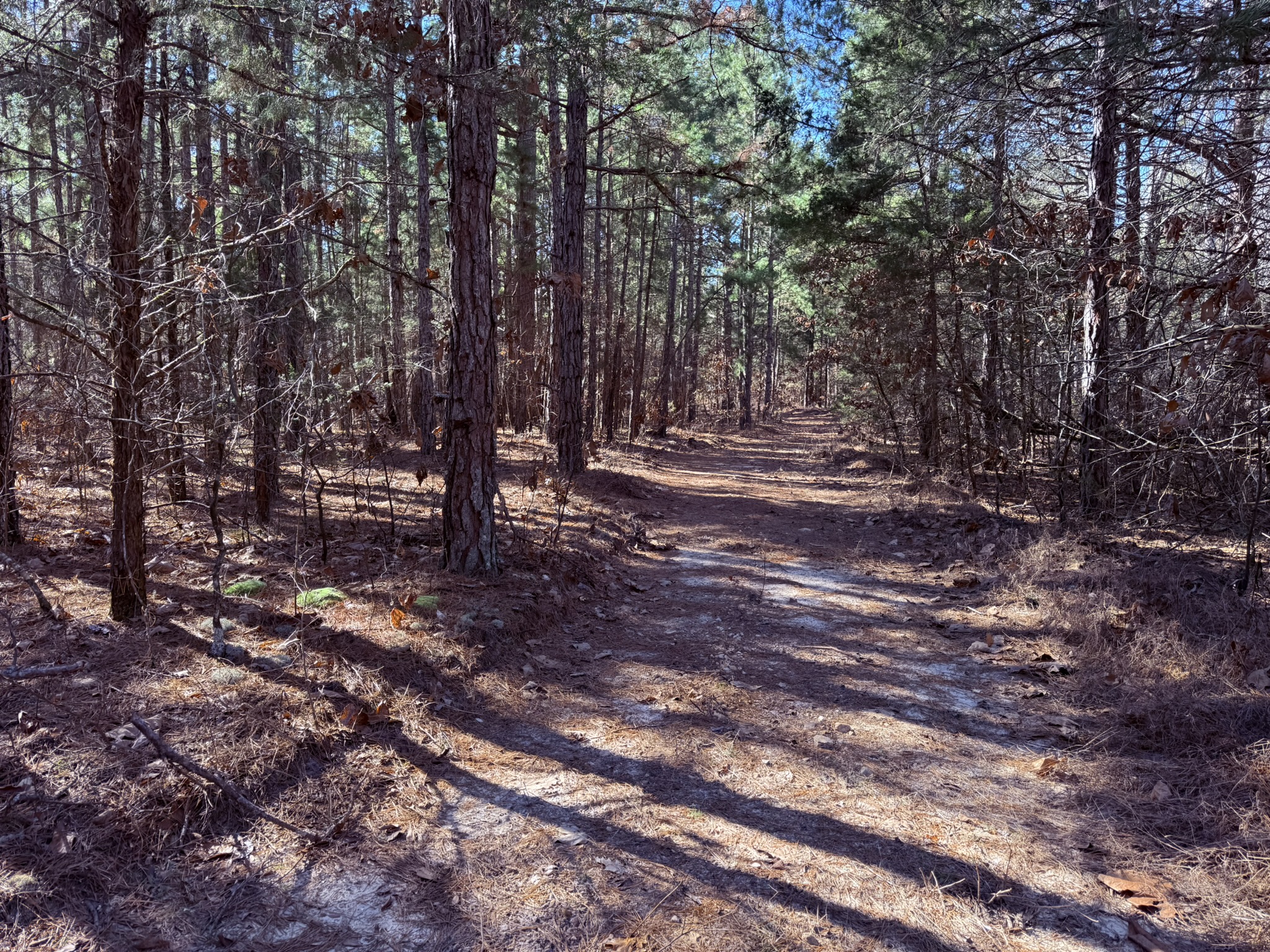 LAND FOR SALE IN NORTH CENTRAL ARKANSAS