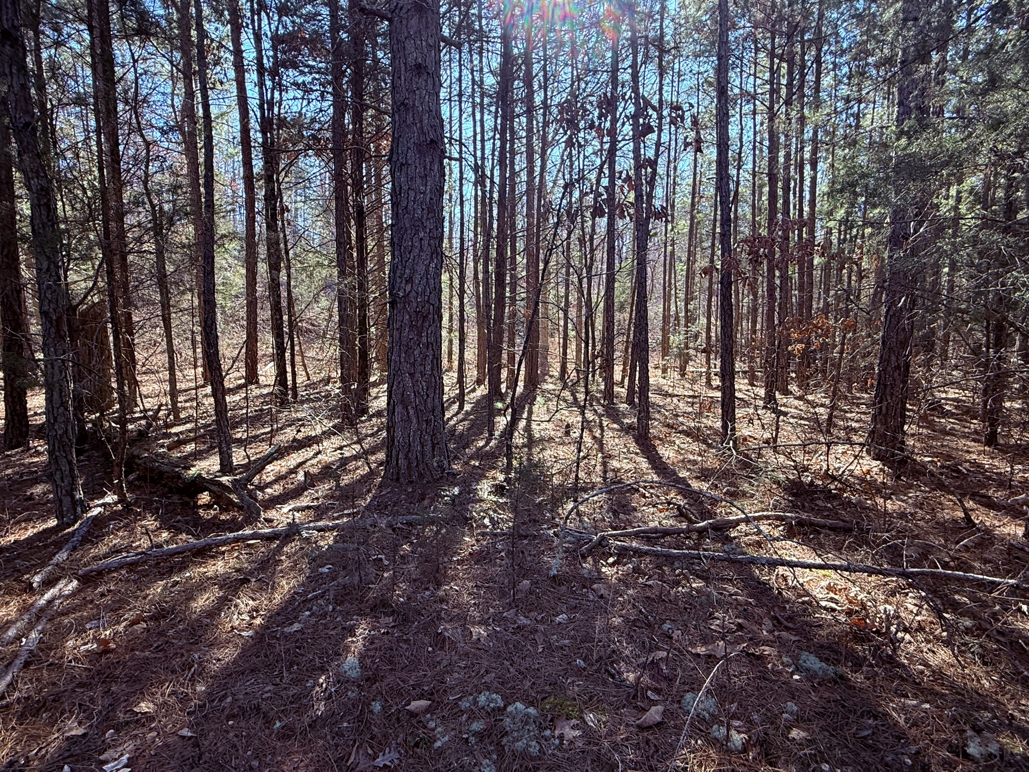 LAND FOR SALE IN NORTH CENTRAL ARKANSAS