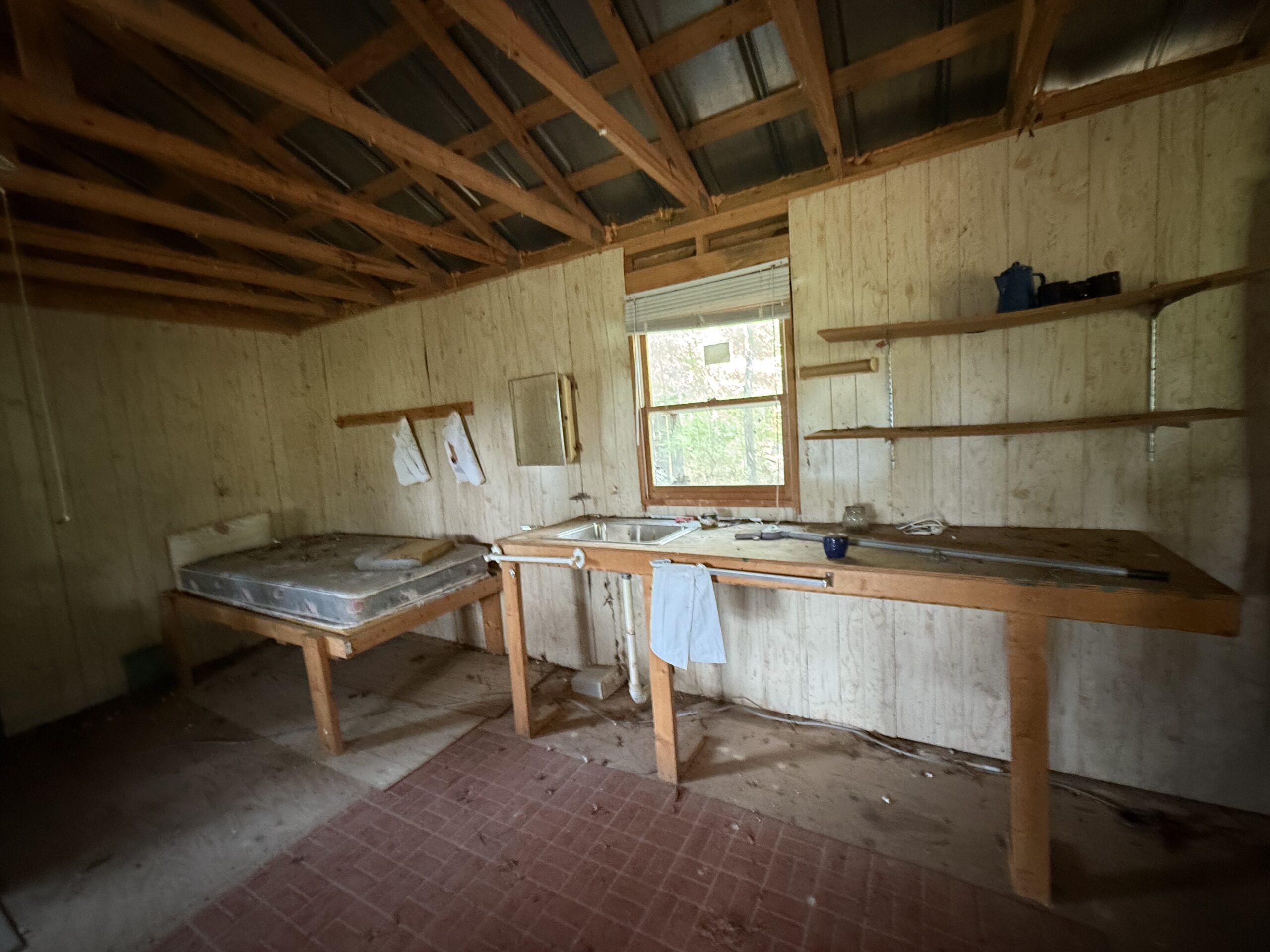 64 acres in Olgethorpe county with an off grid cabin – Ready for deer season!