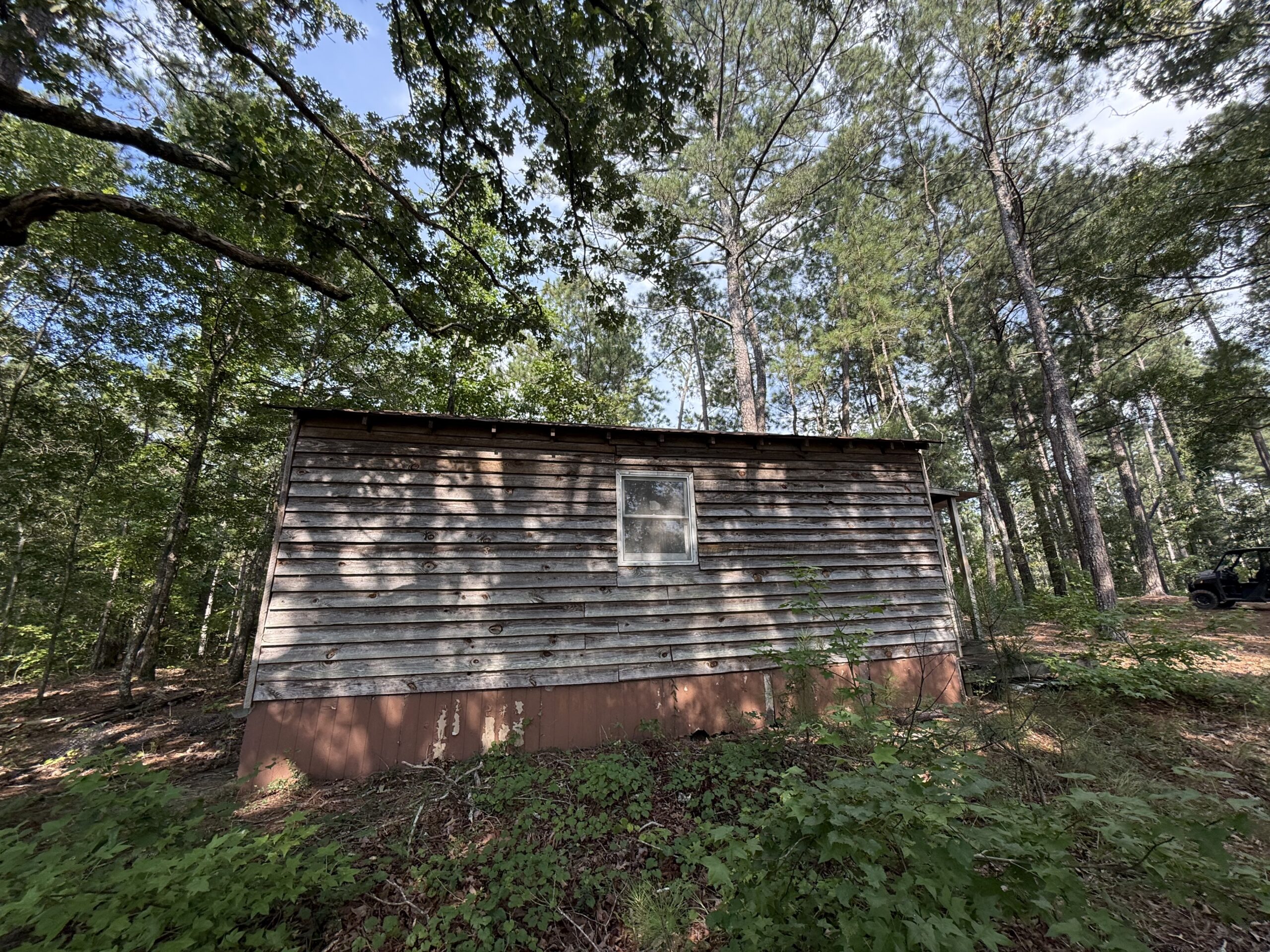 64 acres in Olgethorpe county with an off grid cabin – Ready for deer season!