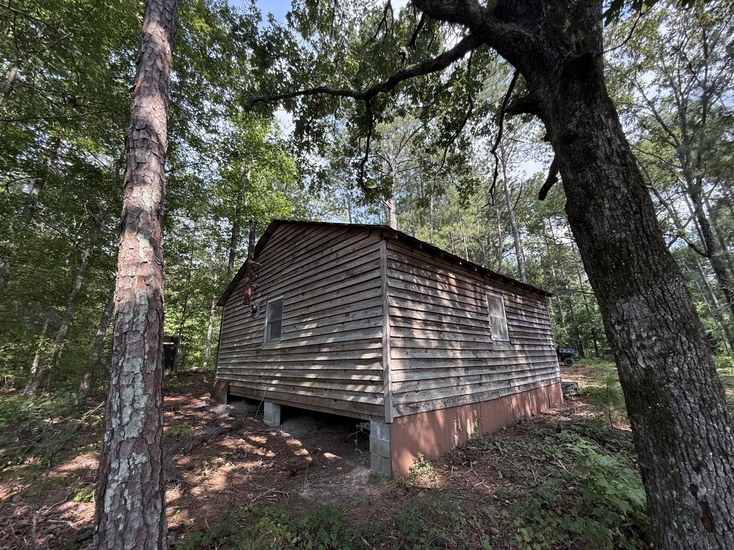 64 acres in Olgethorpe county with an off grid cabin – Ready for deer season!