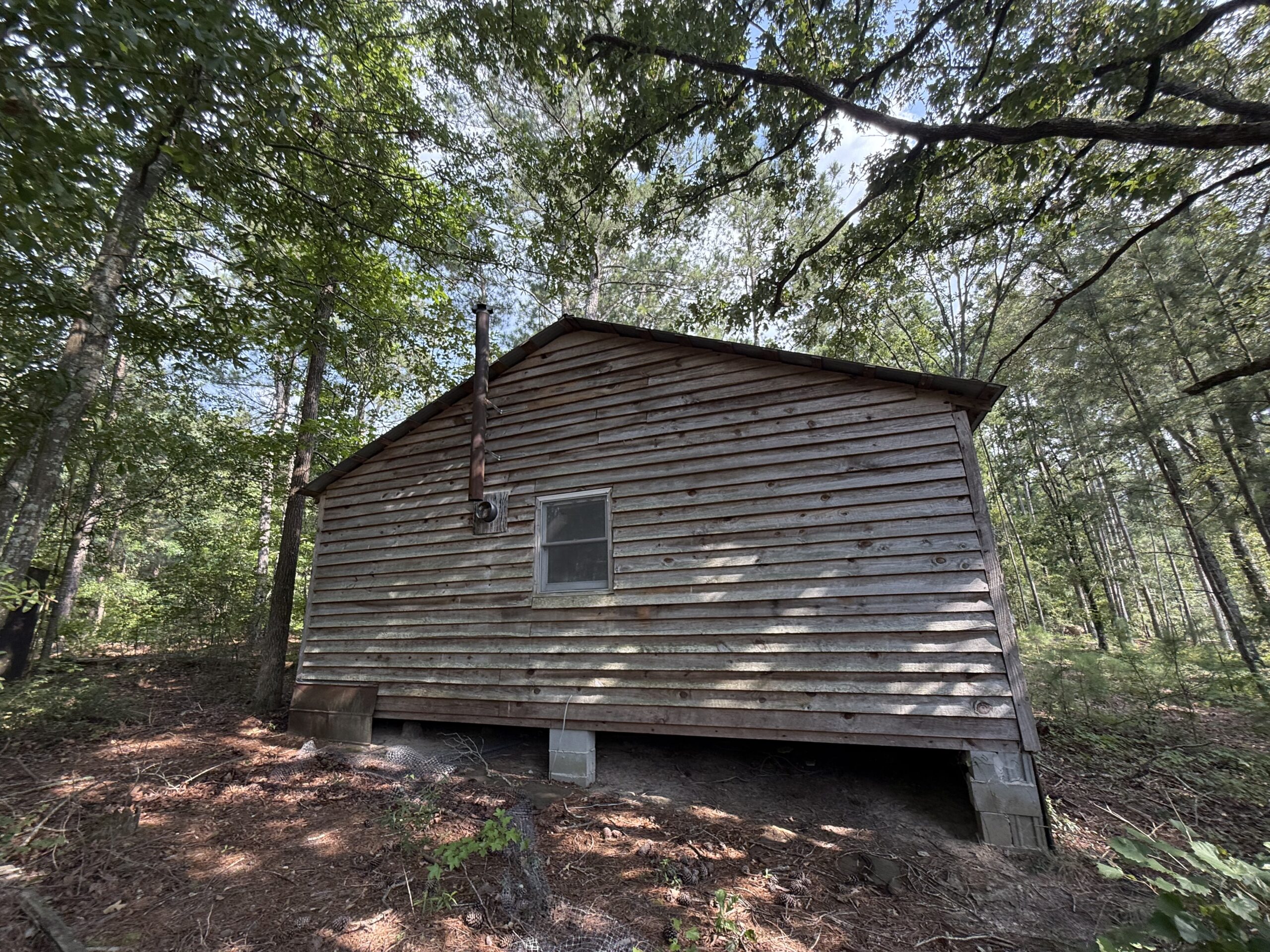 64 acres in Olgethorpe county with an off grid cabin – Ready for deer season!