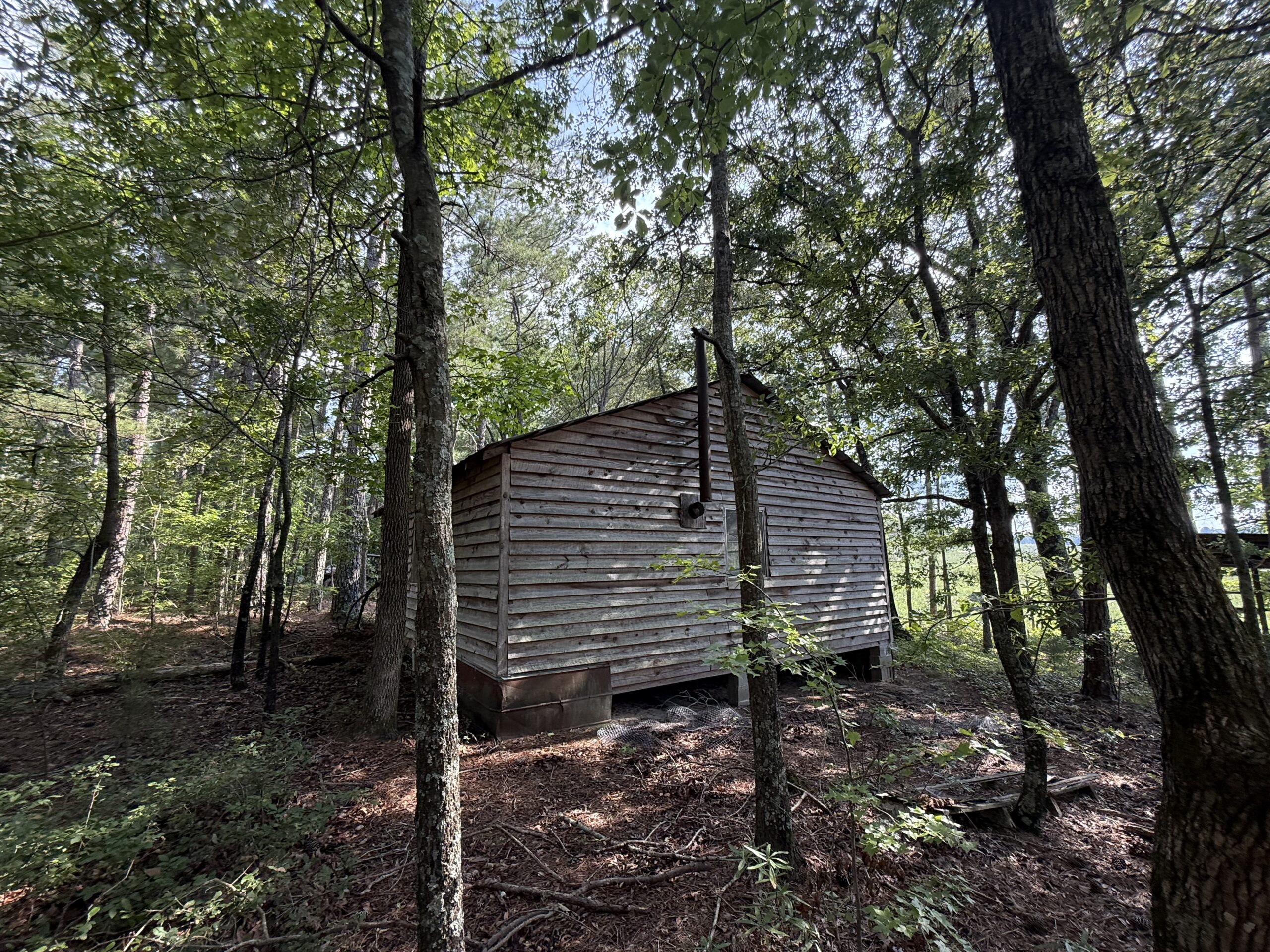 64 acres in Olgethorpe county with an off grid cabin – Ready for deer season!