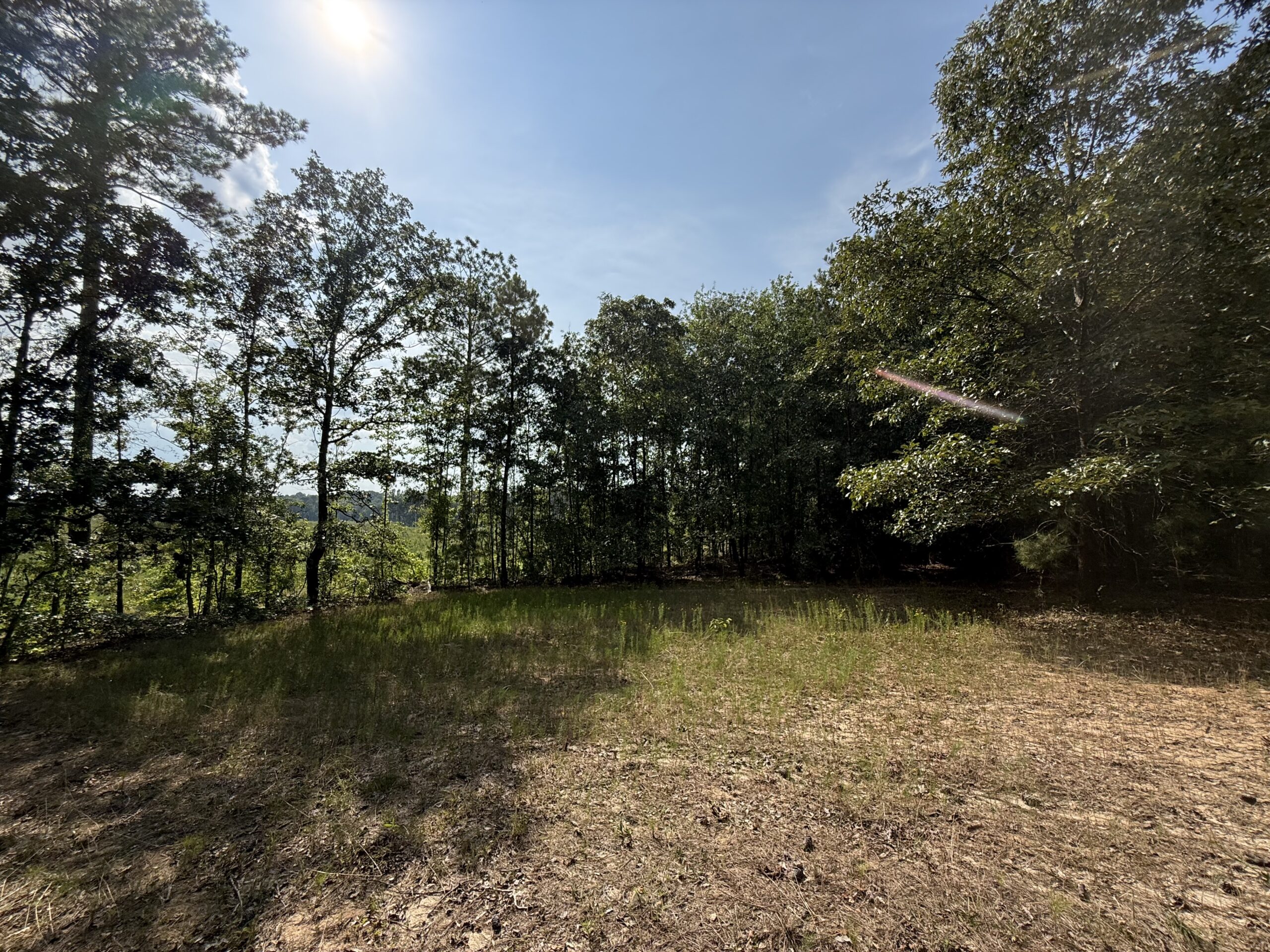 64 acres in Olgethorpe county with an off grid cabin – Ready for deer season!