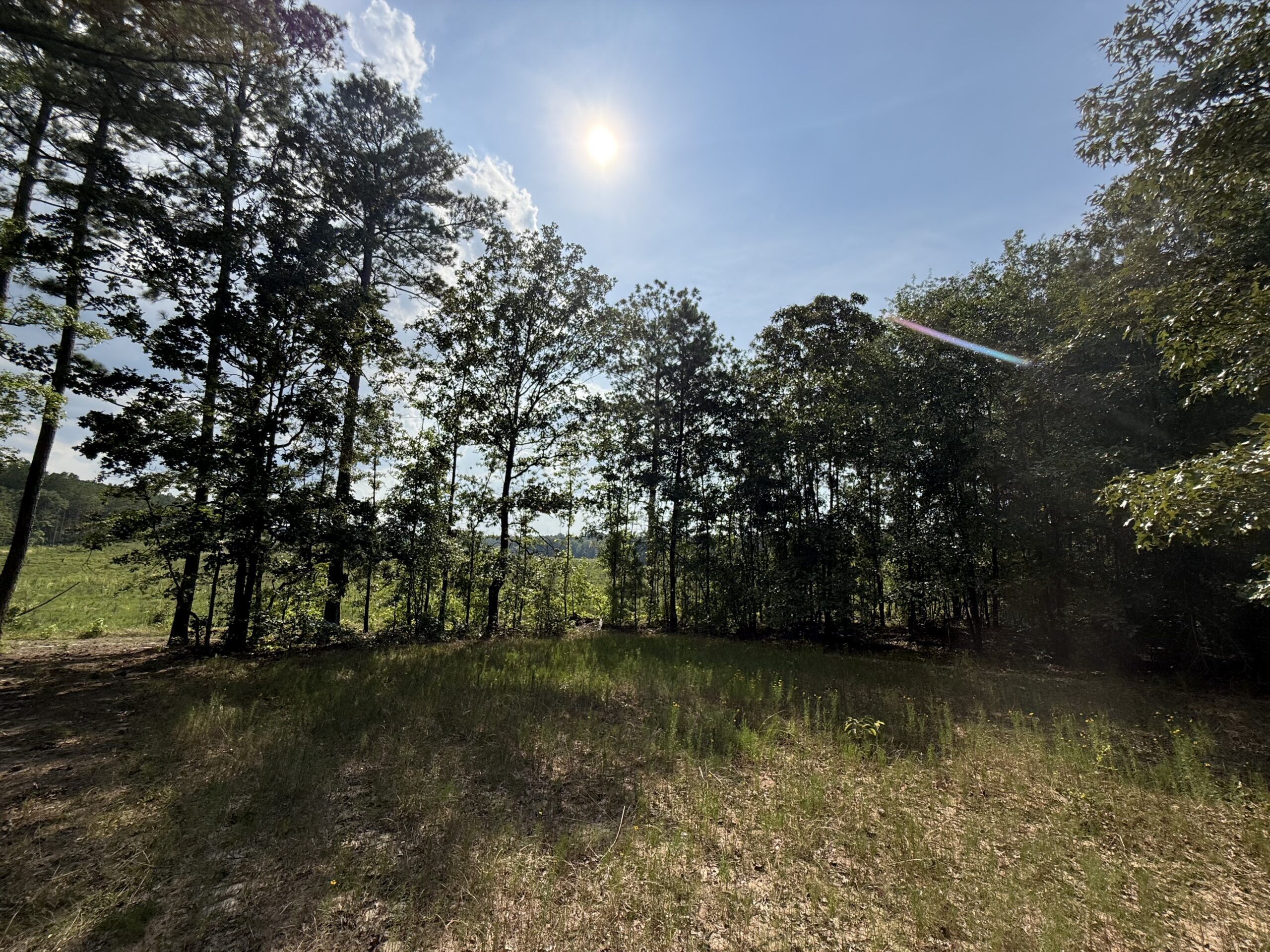 64 acres in Olgethorpe county with an off grid cabin – Ready for deer season!