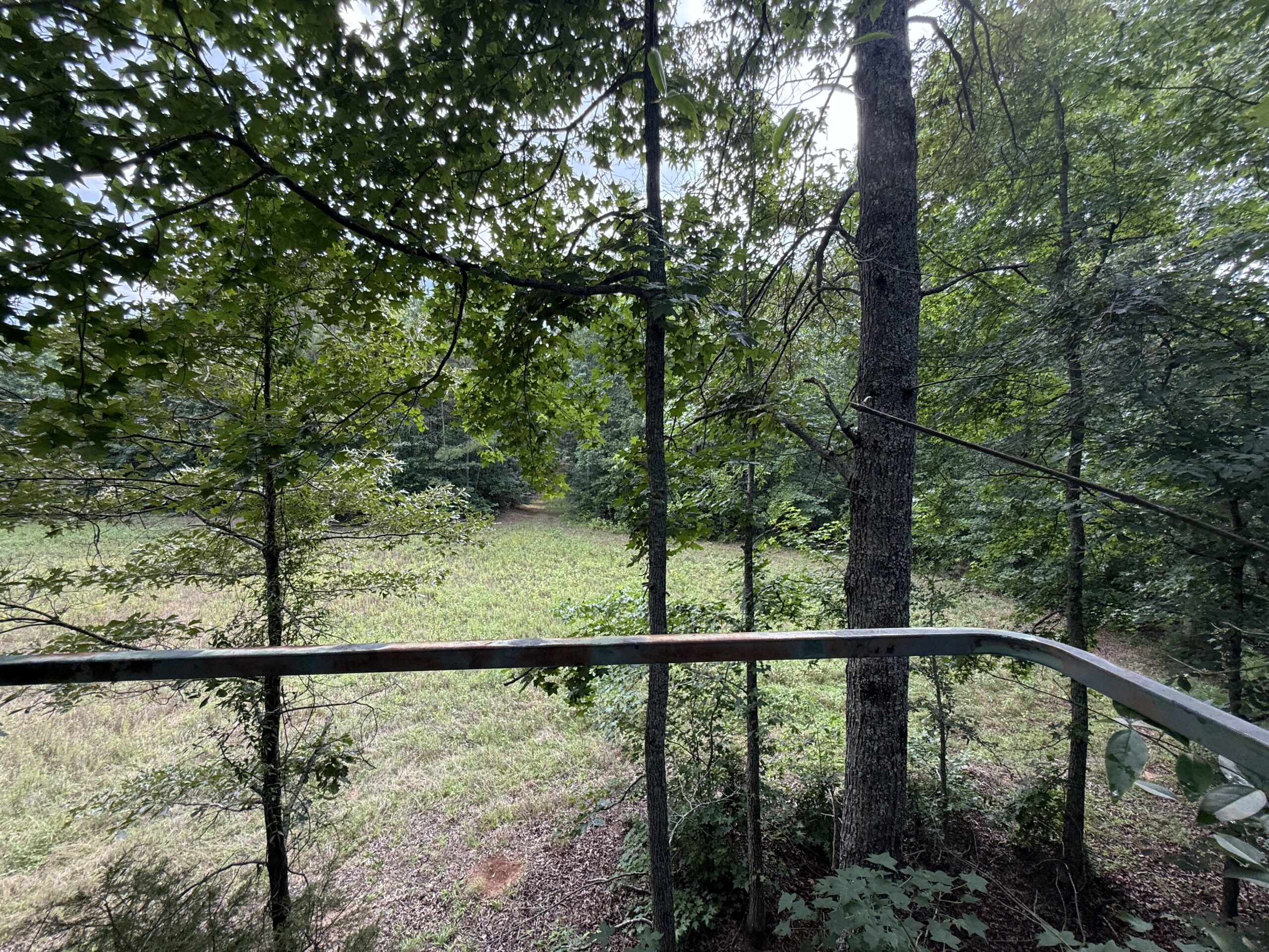 64 acres in Olgethorpe county with an off grid cabin – Ready for deer season!