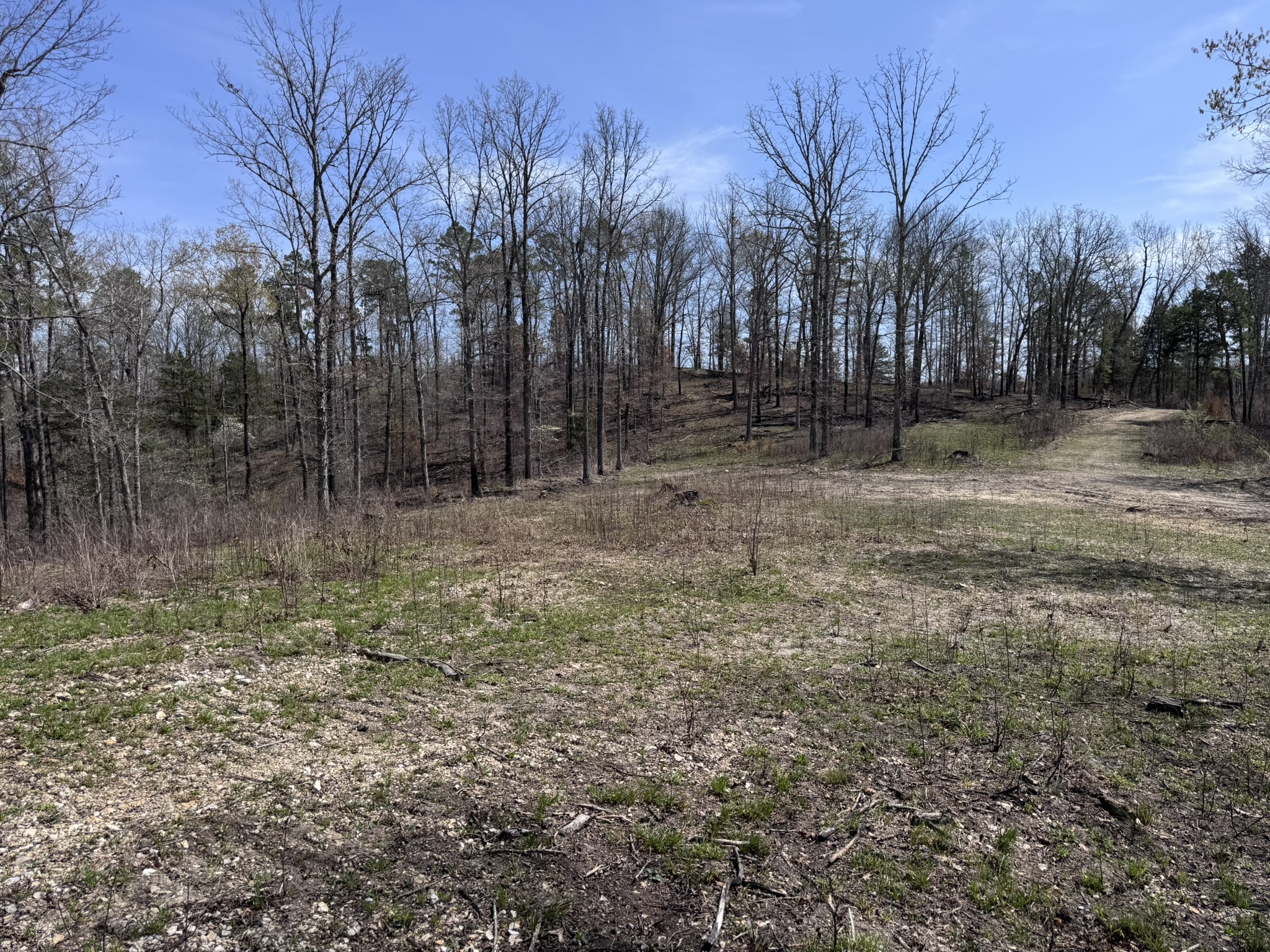 LAND FOR SALE IN NORTH CENTRAL ARKANSAS