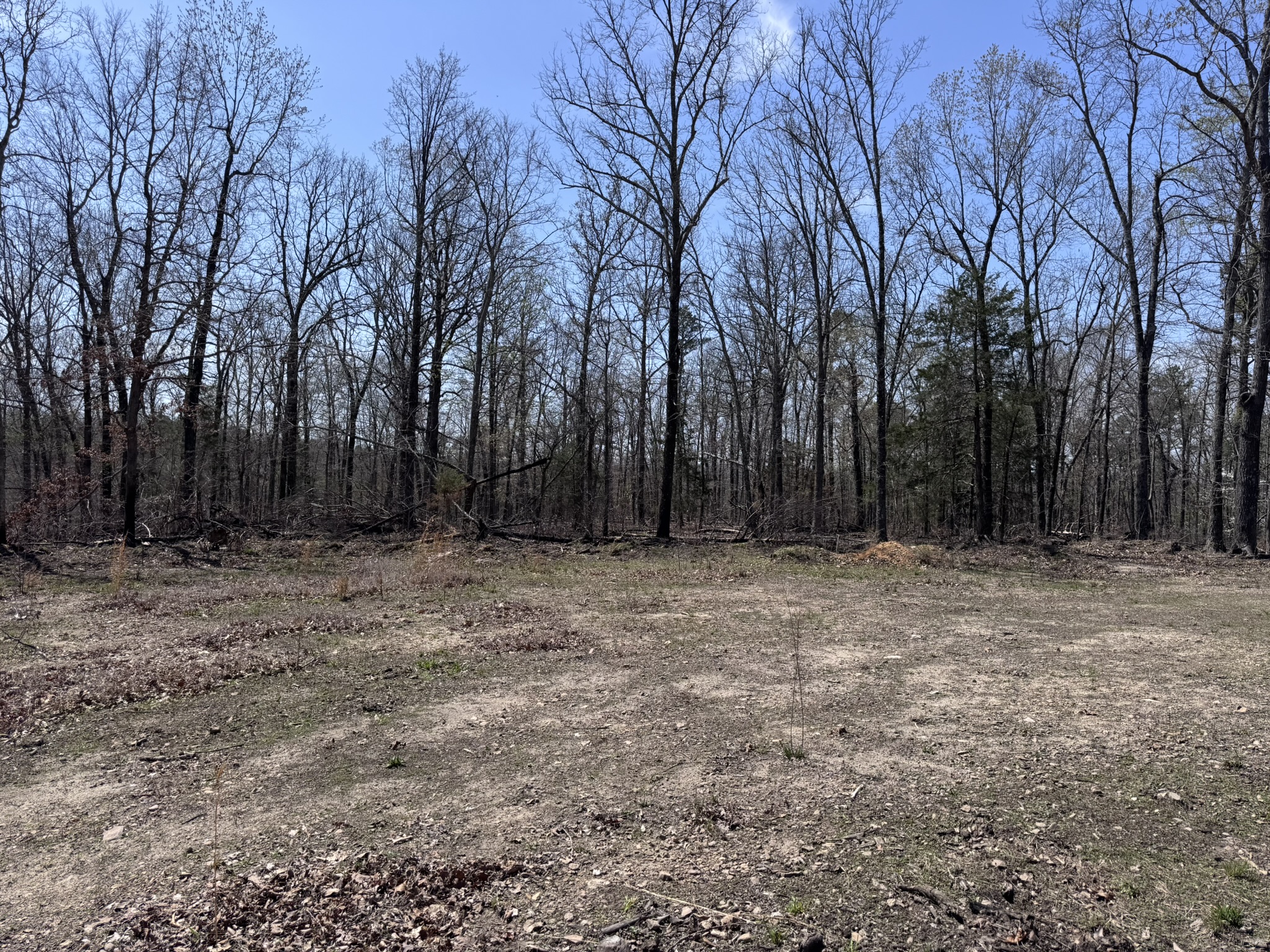 LAND FOR SALE IN NORTH CENTRAL ARKANSAS