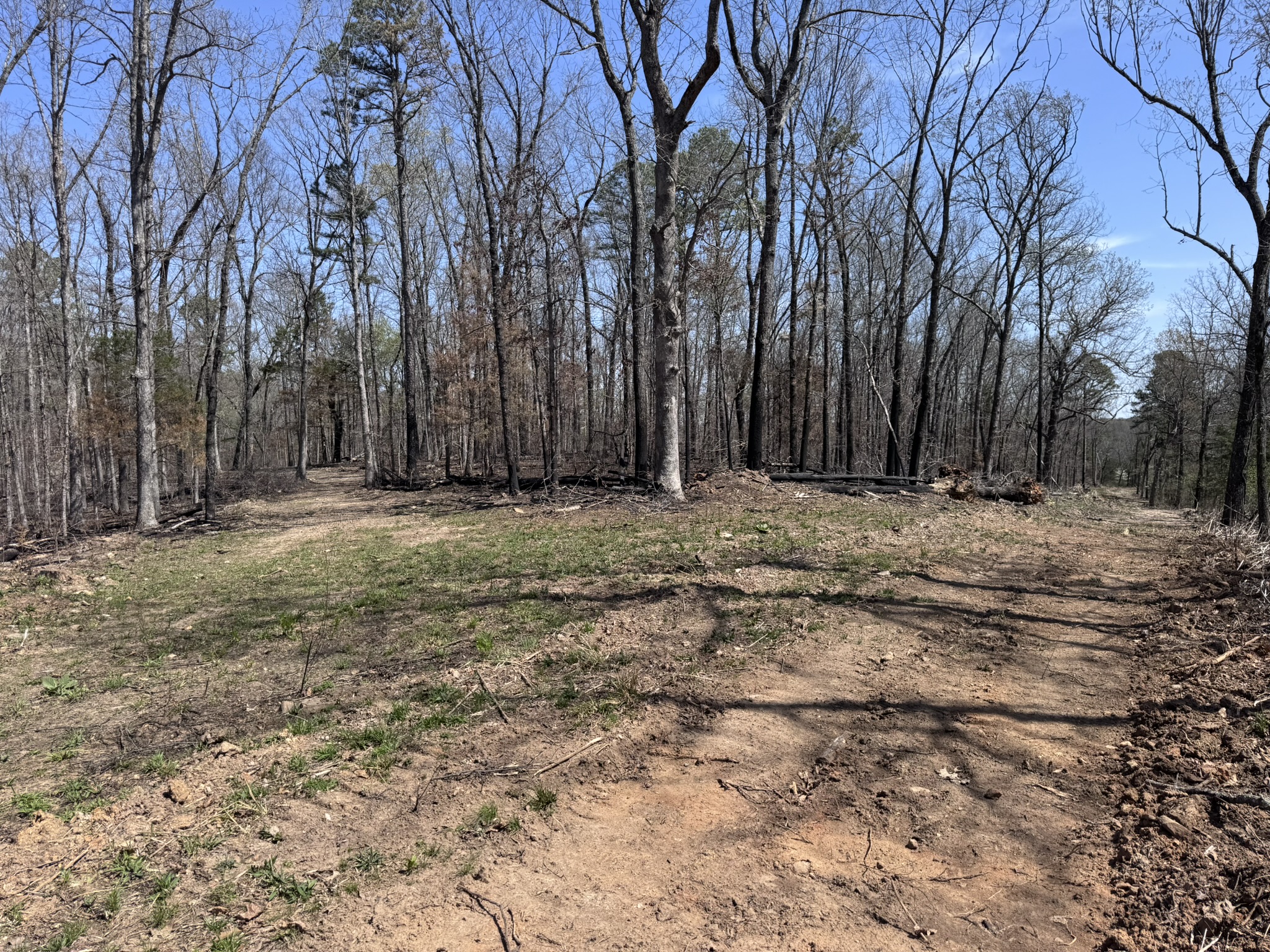 LAND FOR SALE IN NORTH CENTRAL ARKANSAS