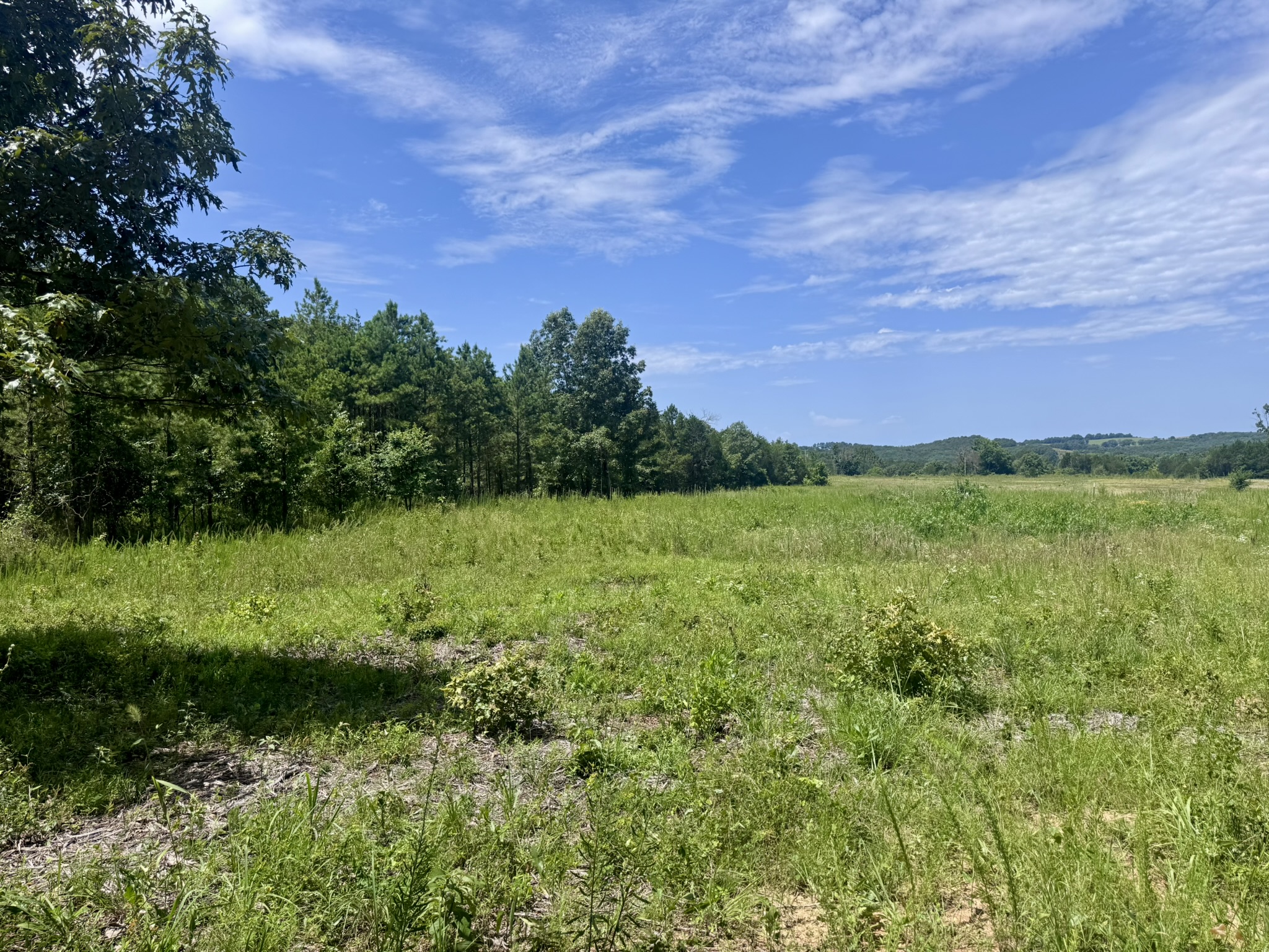 LAND FOR SALE IN NORTH CENTRAL ARKANSAS
