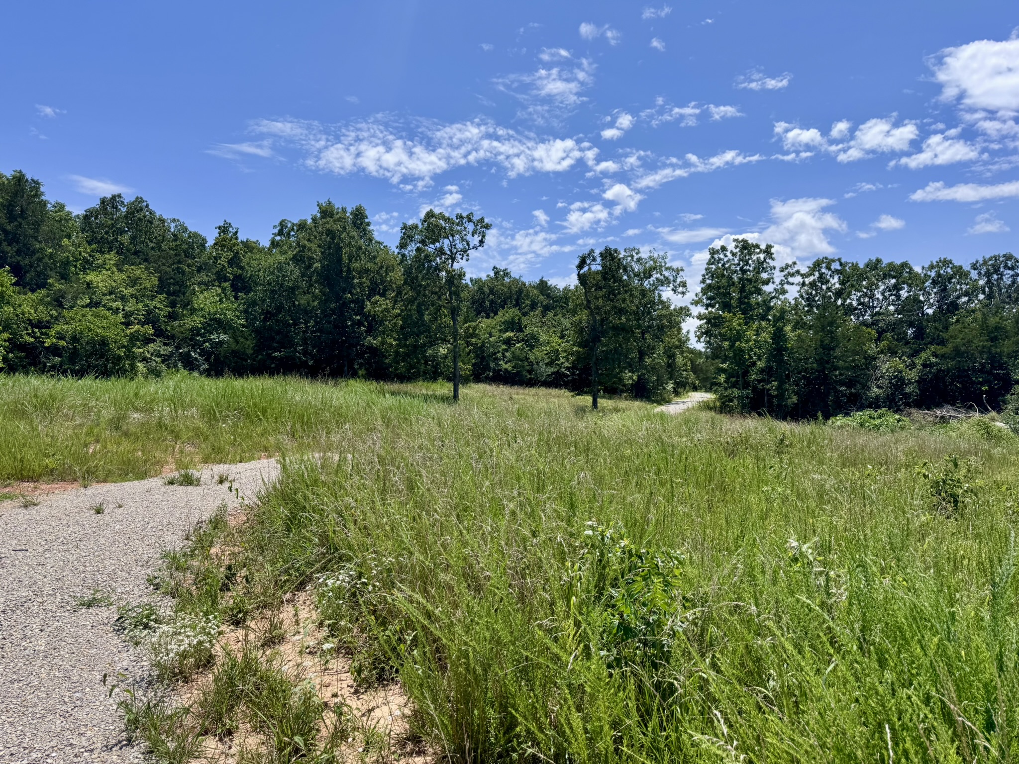 LAND FOR SALE IN NORTH CENTRAL ARKANSAS