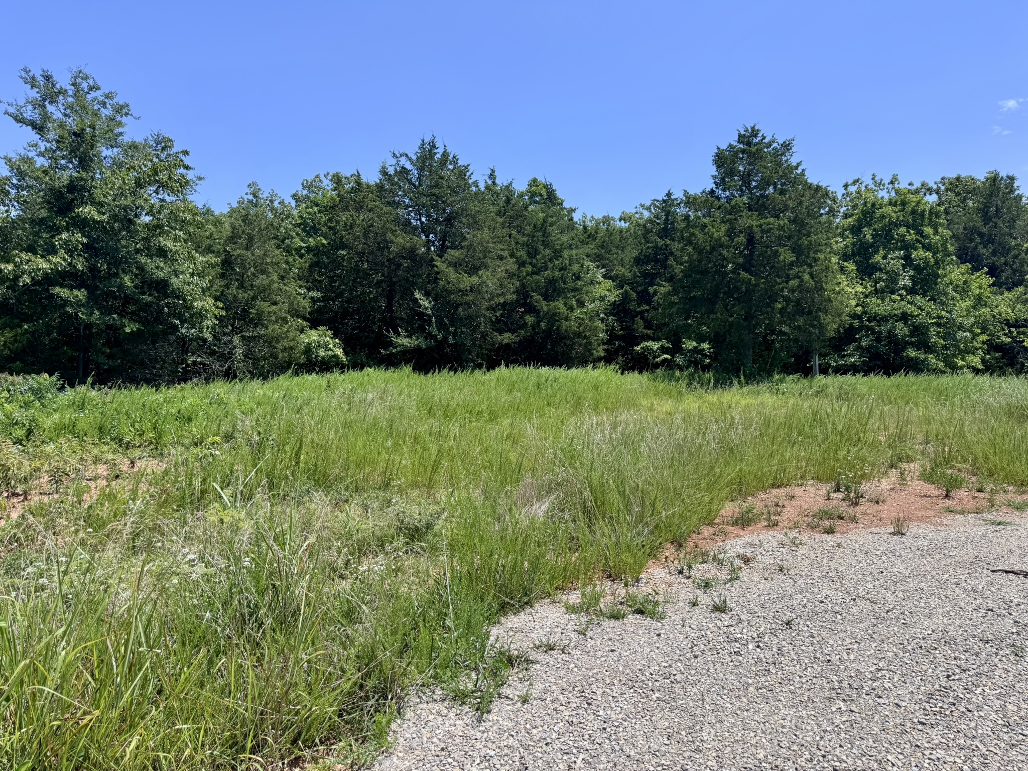 LAND FOR SALE IN NORTH CENTRAL ARKANSAS